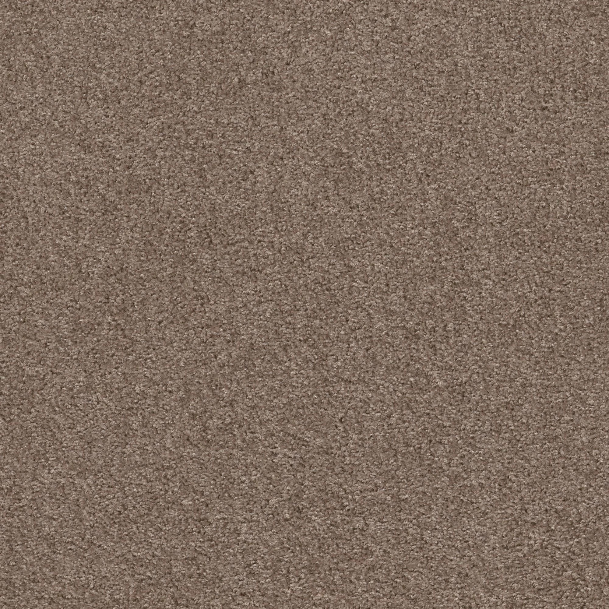 Steadfast-Cabot Trail