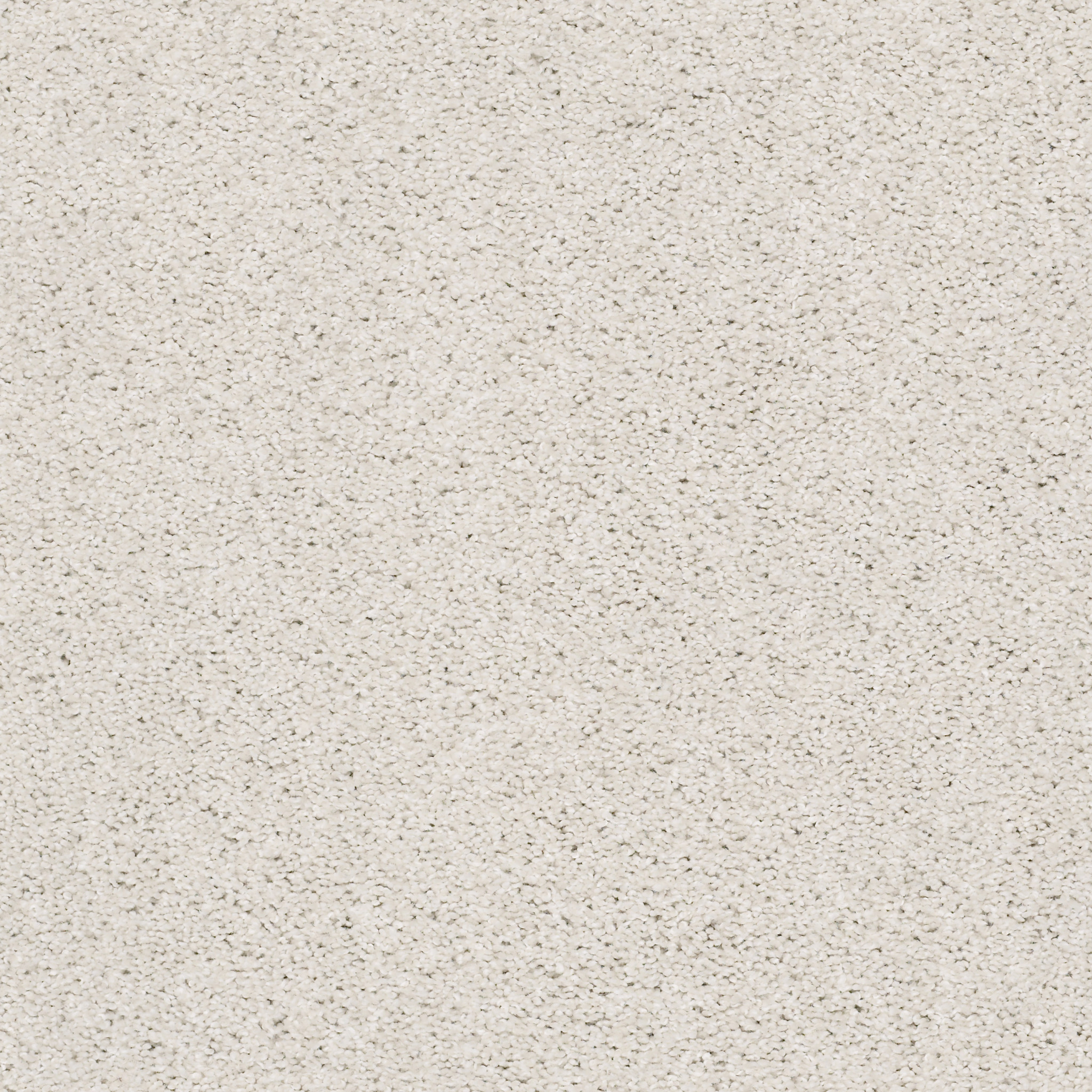 Stardom - Canvas - PZ062_00190