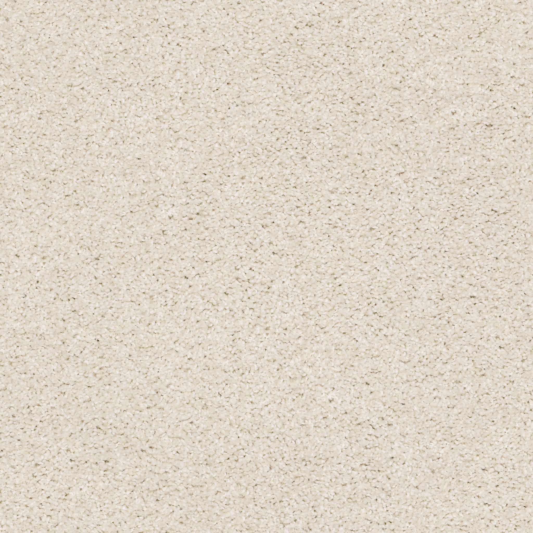 Stardom-Blondie-PZ062_00191