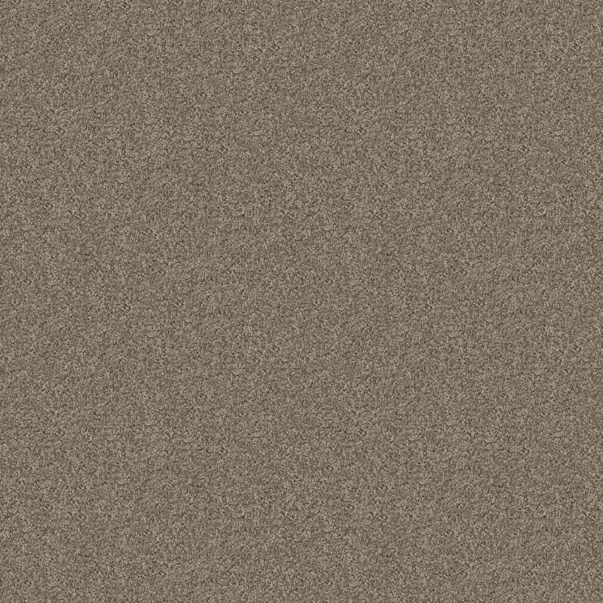 Urban Taupe