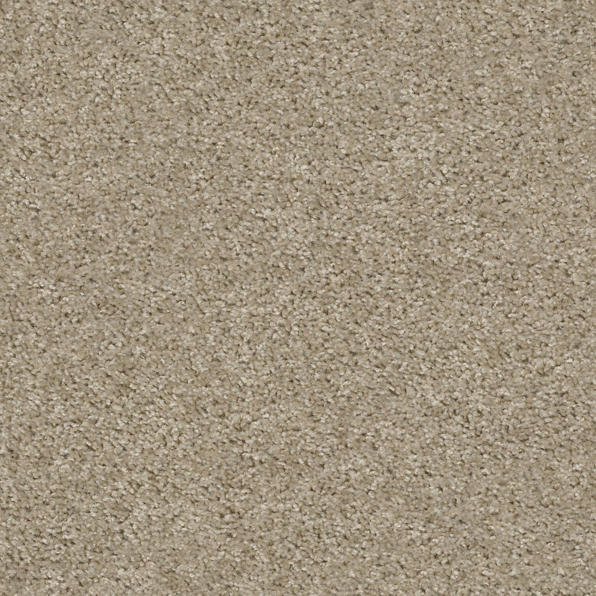 Eco Choice III-Alloy-PZ092_00135