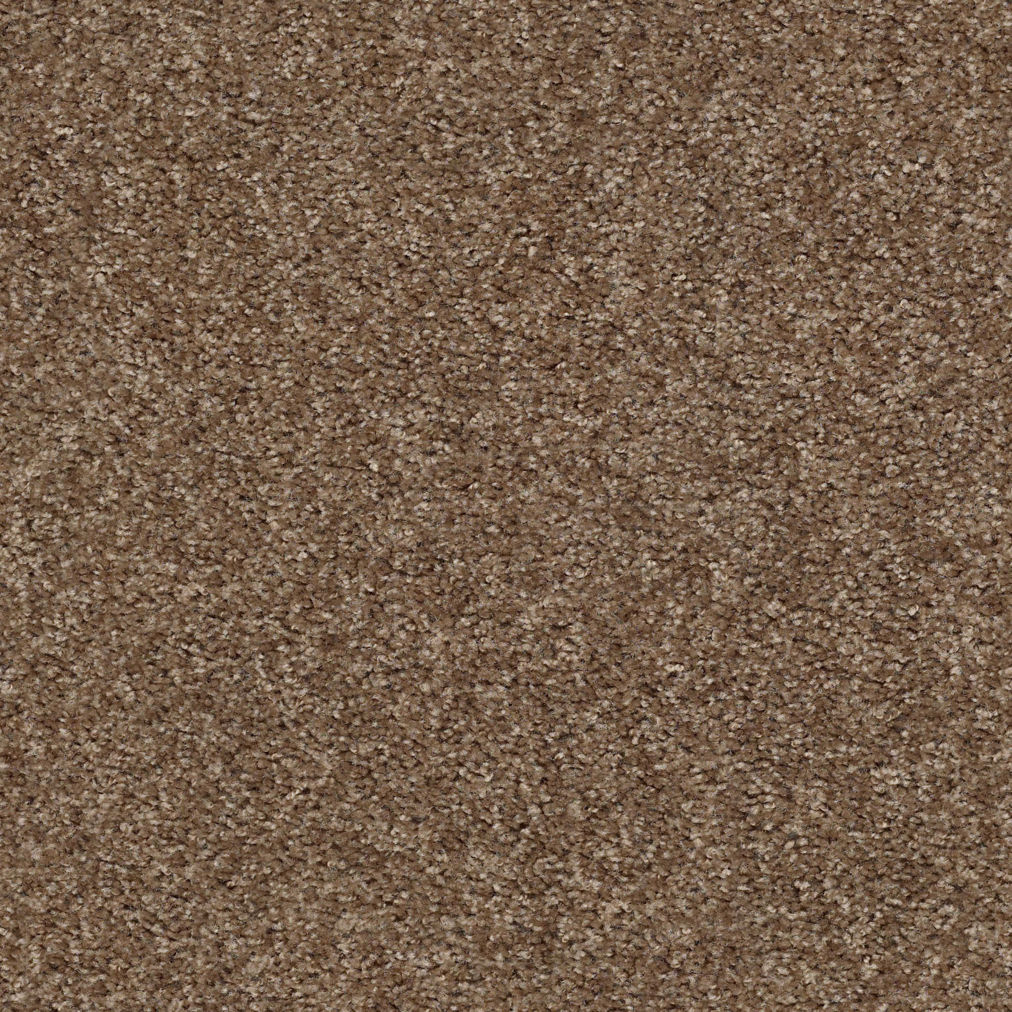 Eco Choice III-Hillsborough-PZ092_00702