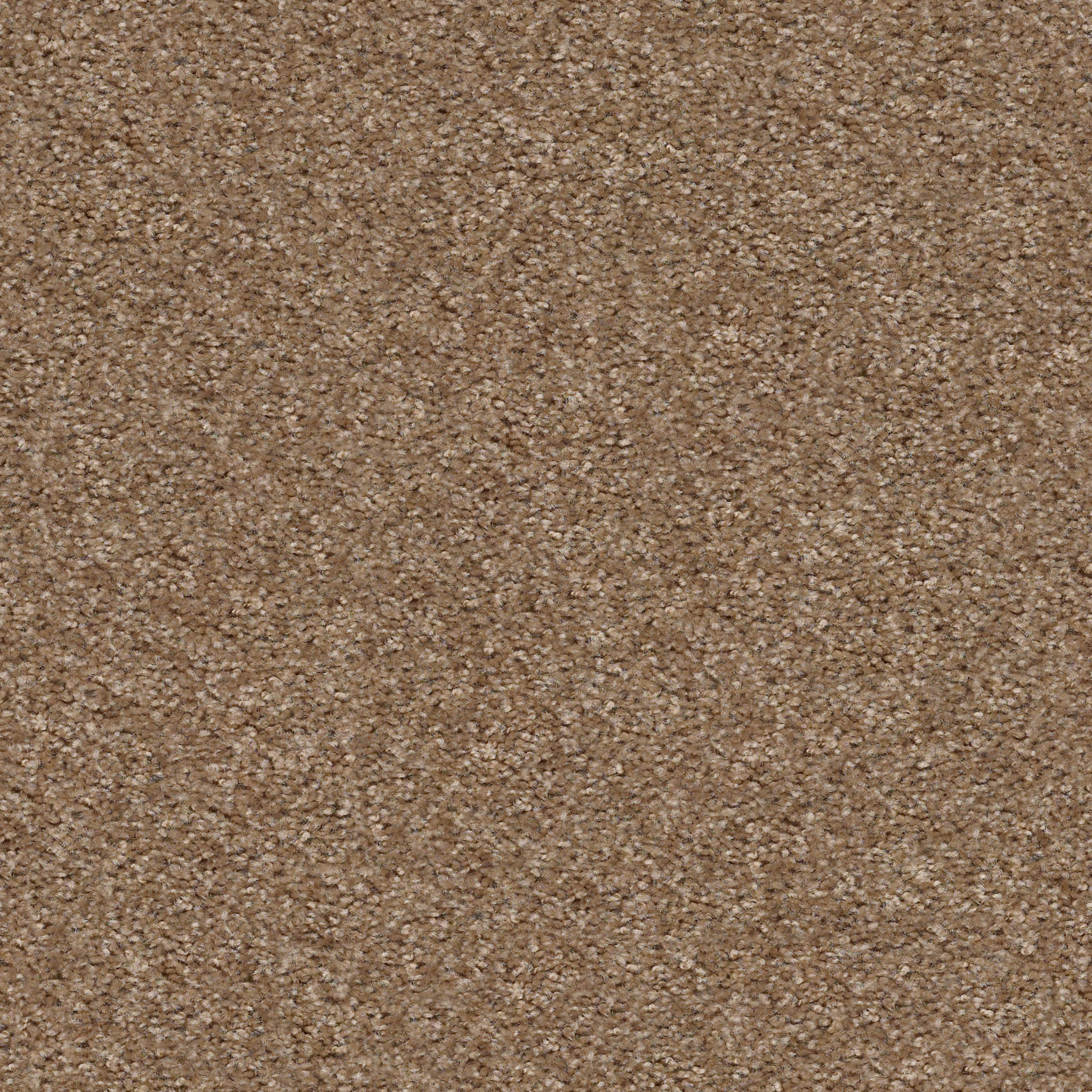 Eco Choice III-Fawn's Leap-PZ092_00722