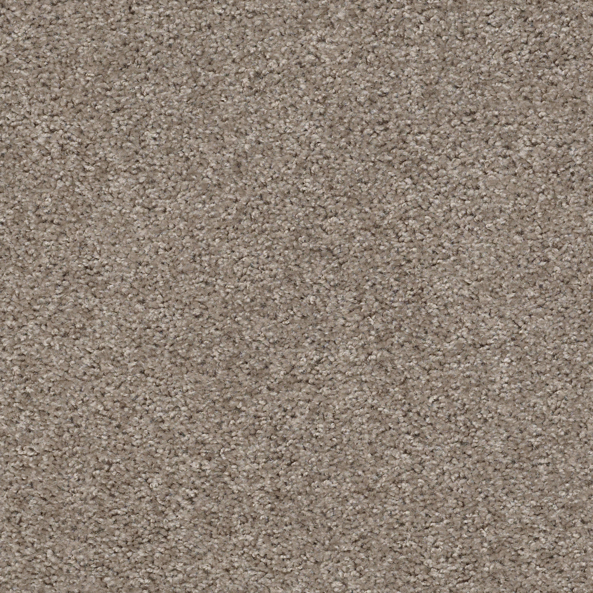 Eco Choice III-Indian River-PZ092_00790