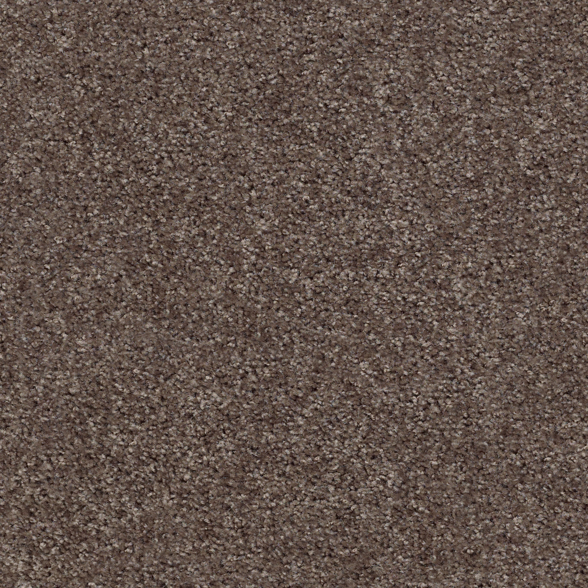 Eco Choice III-Rustic Brown-PZ092_00792