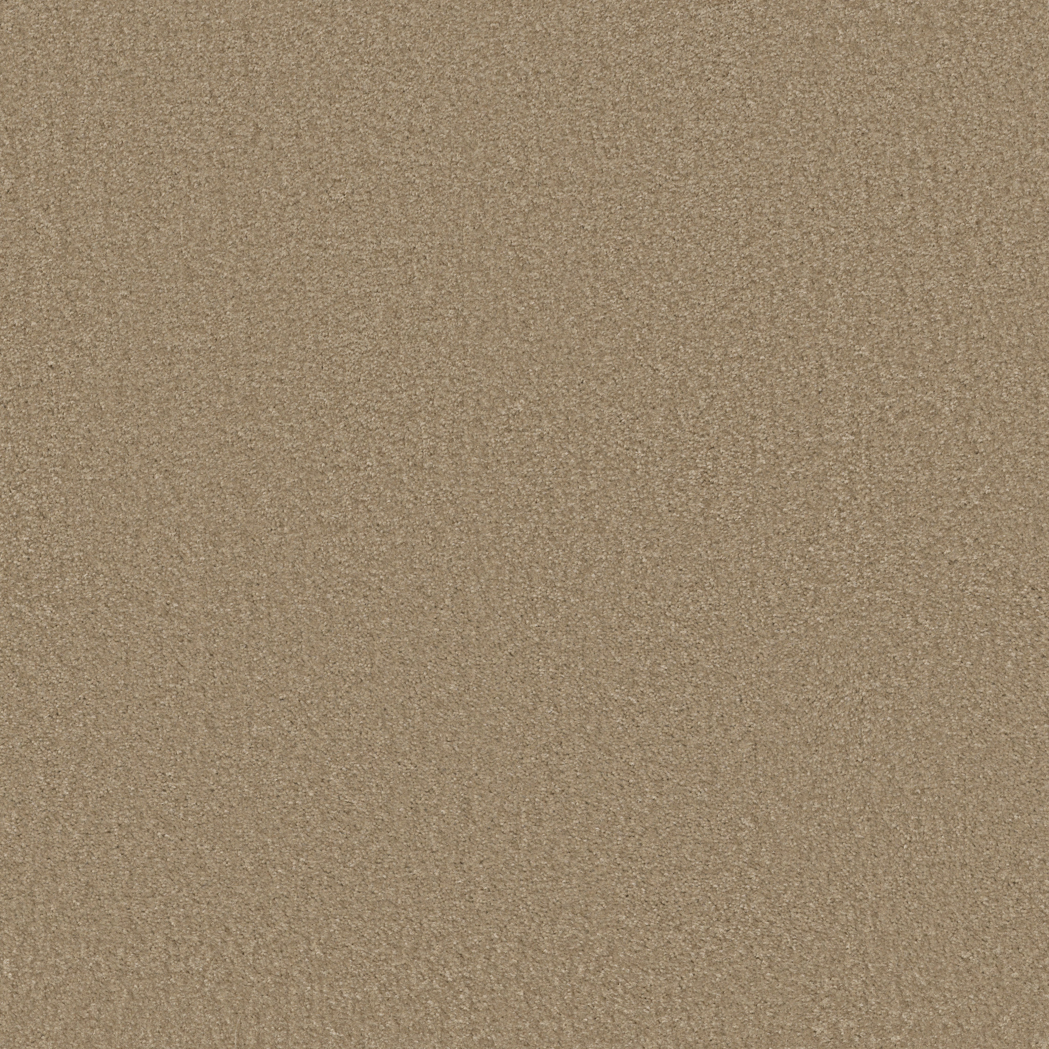 Eco Functional III - Sunset Ridge - PZ094_00105