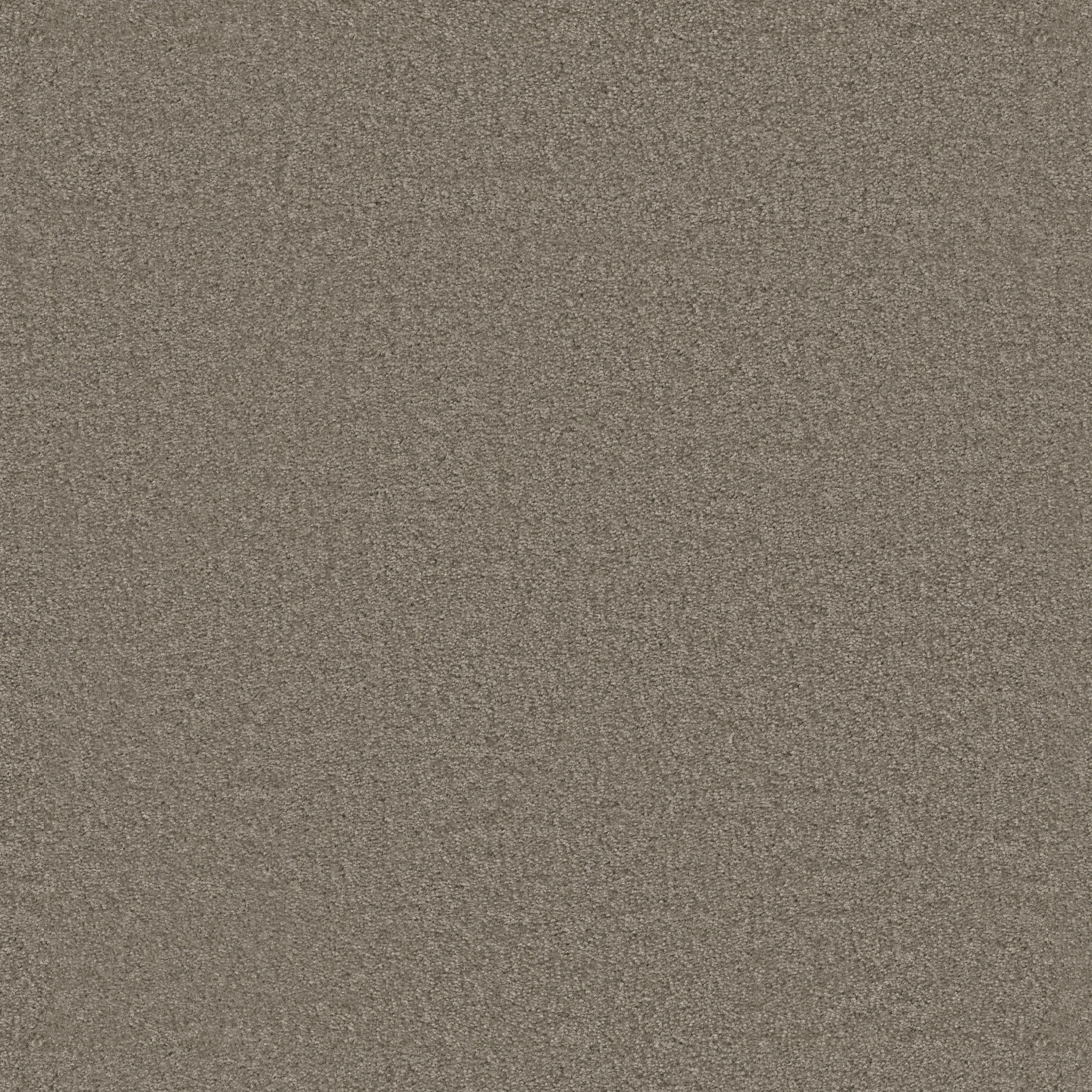 Eco Functional III-Shale-PZ094_00592