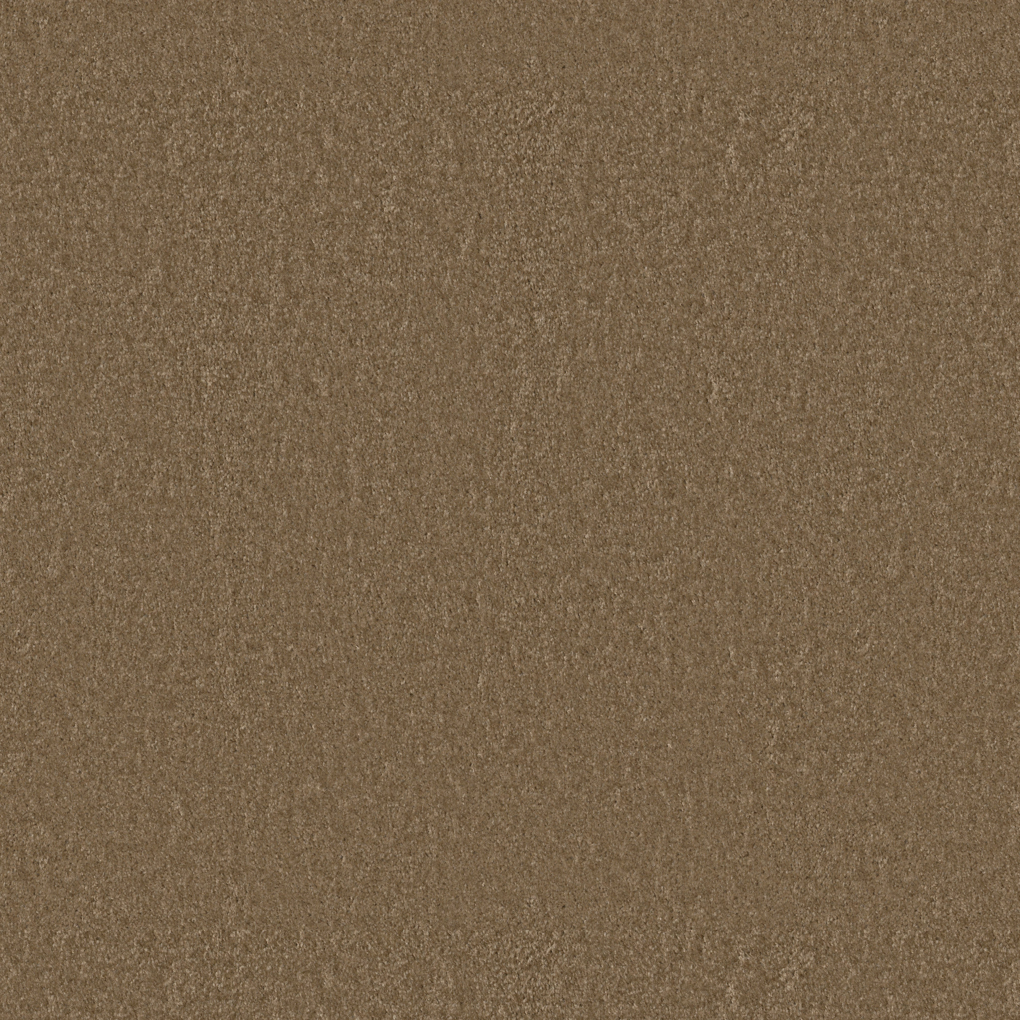 Eco Functional III-Milestone-PZ094_00732