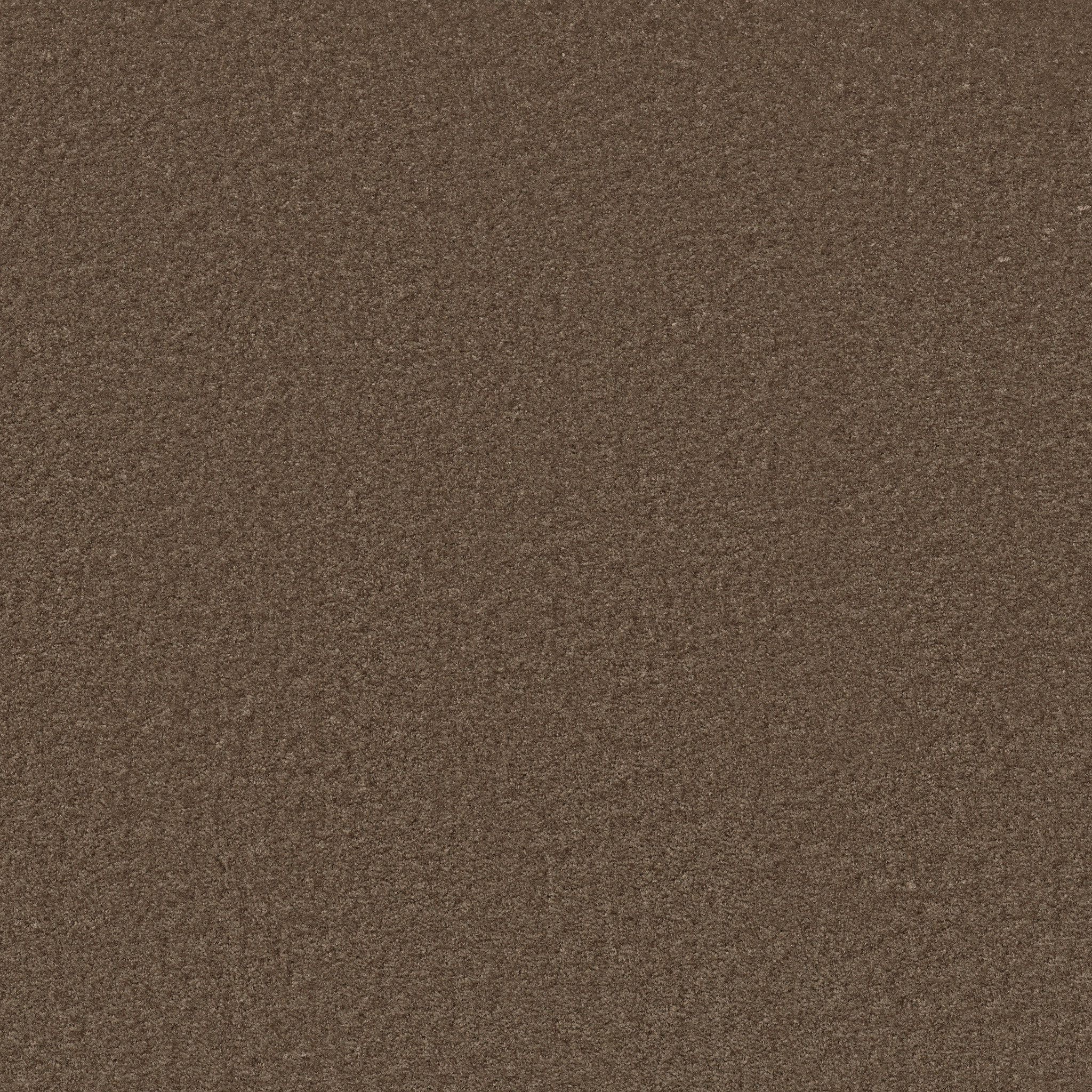 Eco Functional III-Tree Bark-PZ094_00792