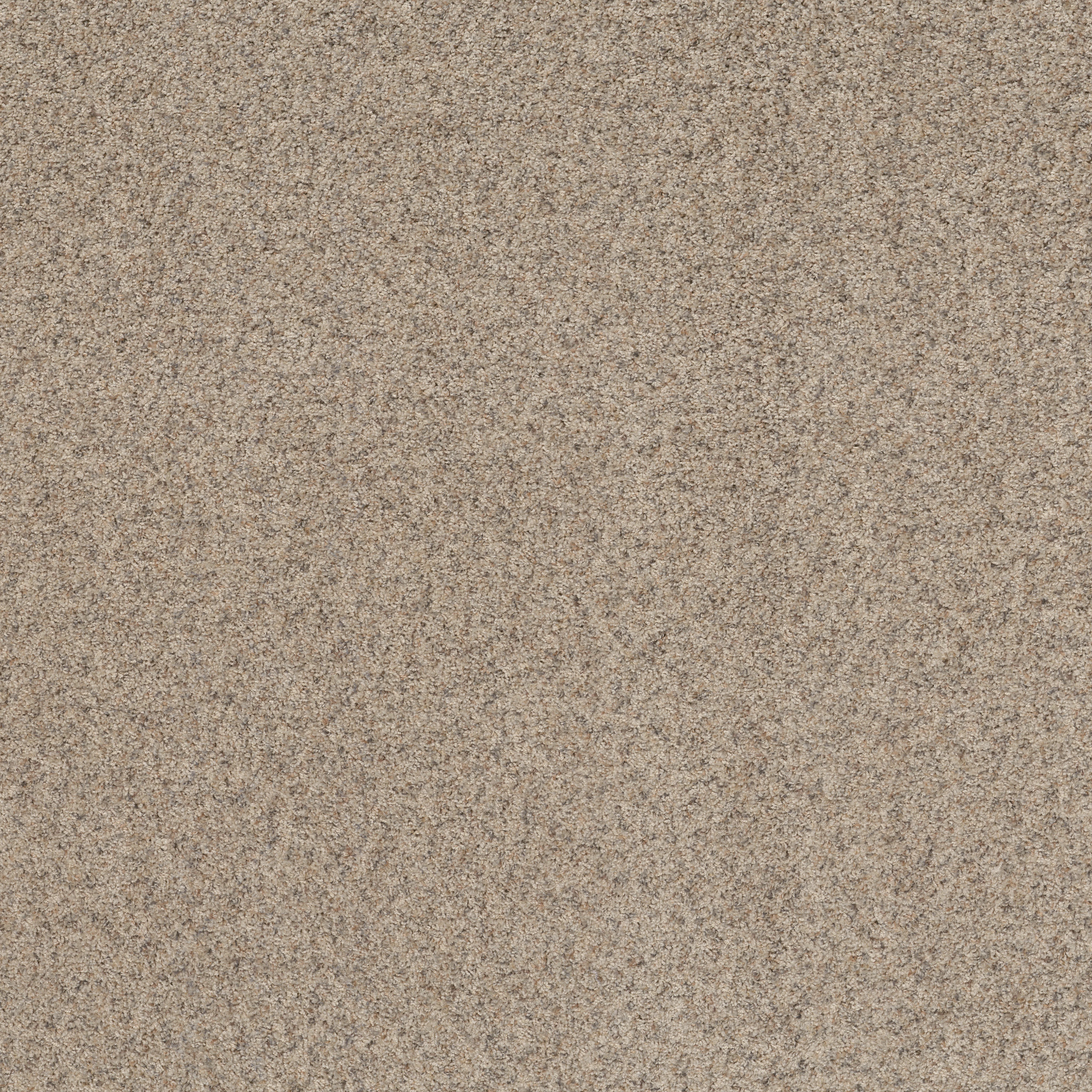 Daily Commute-Shell Island-PZ099_00101