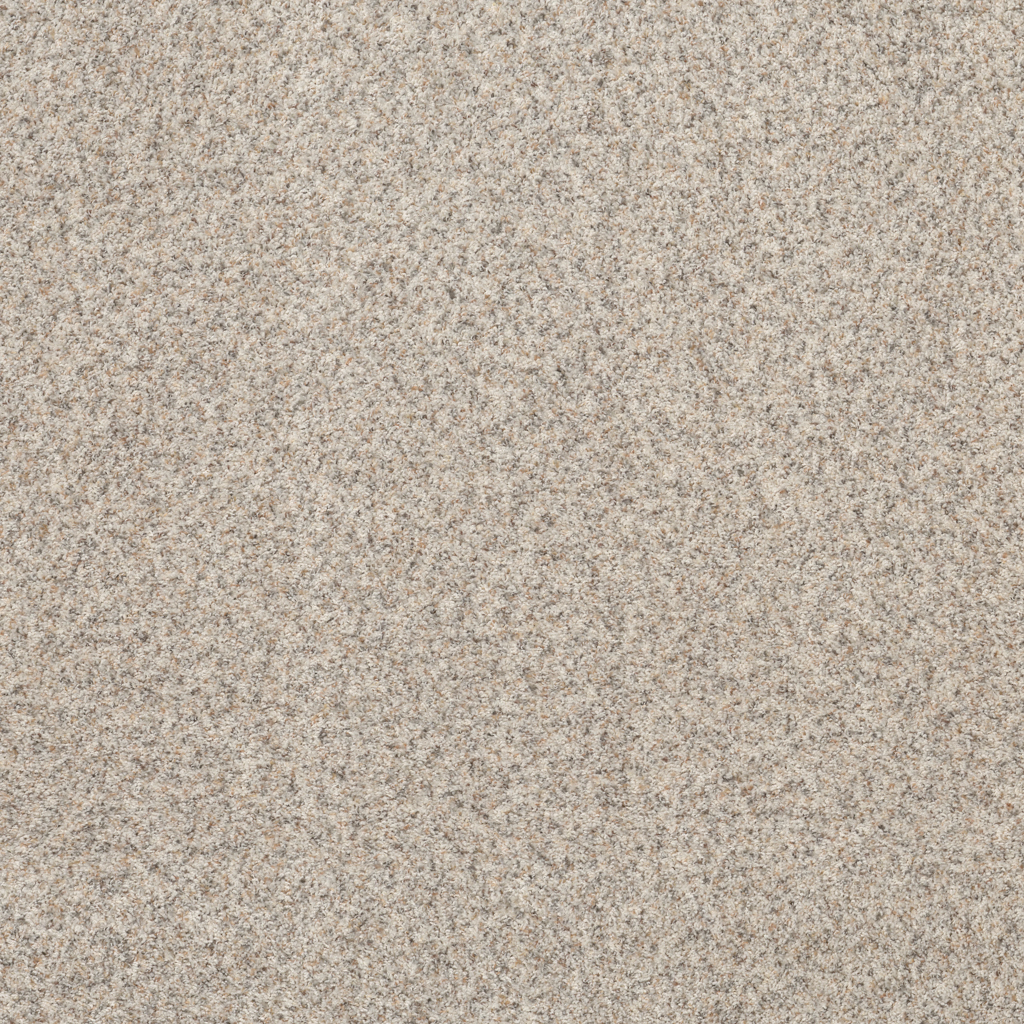 Daily Commute - Parchment - PZ099_00104