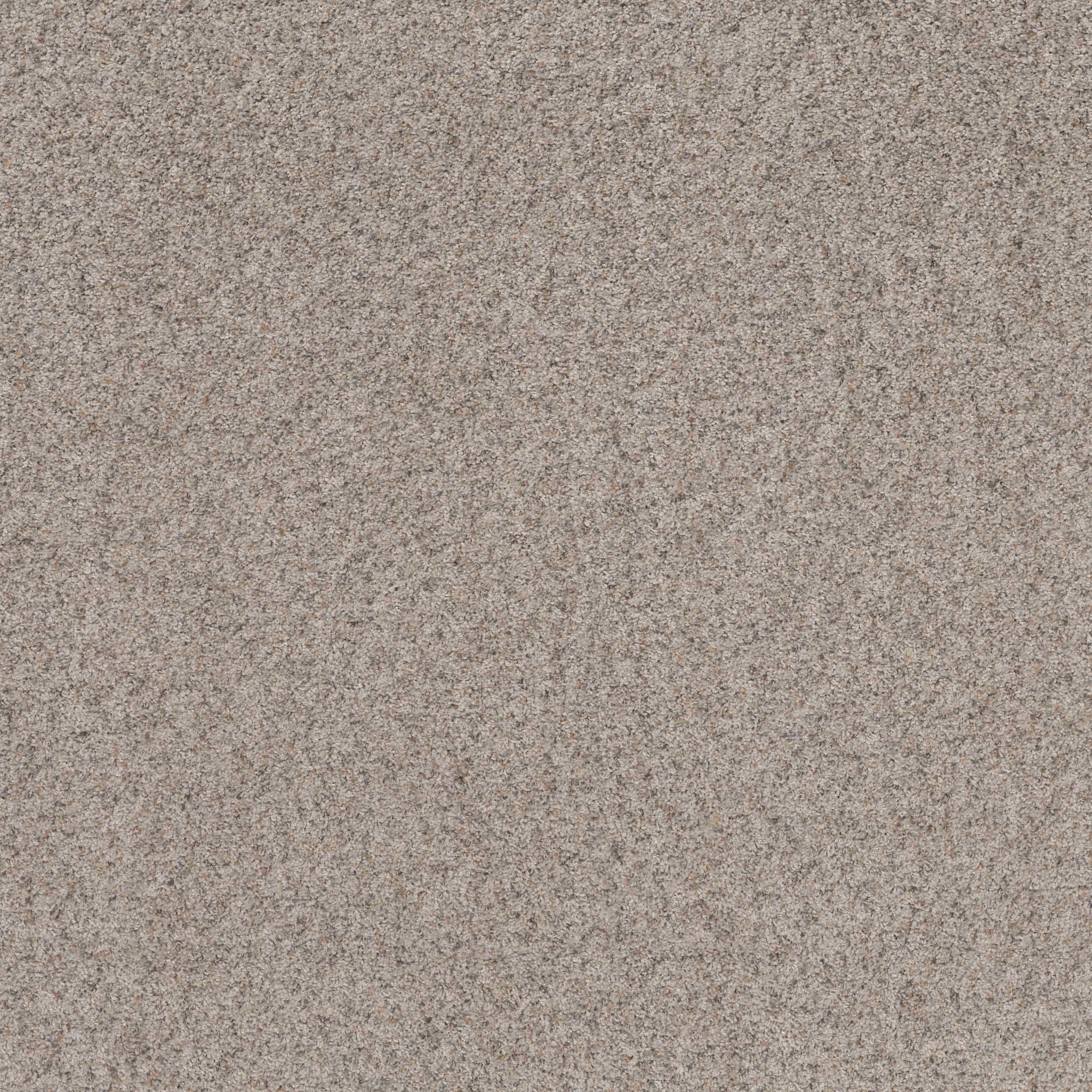 Daily Commute-Perfect Greige-PZ099_00106