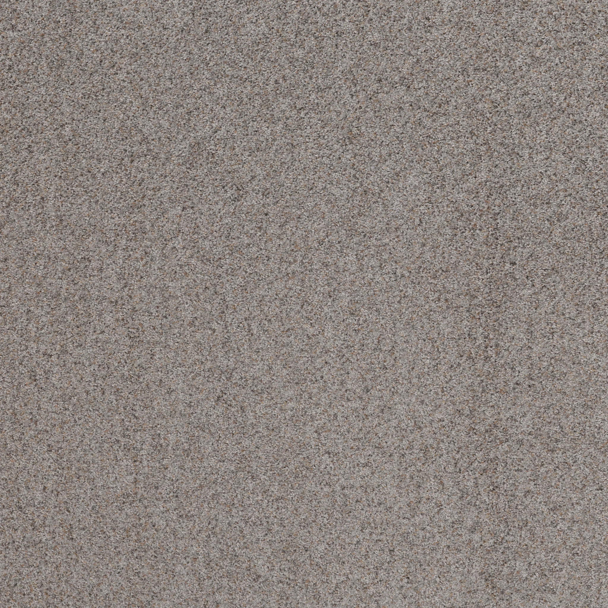 Daily Commute-Touch Of Gray-PZ099_00500