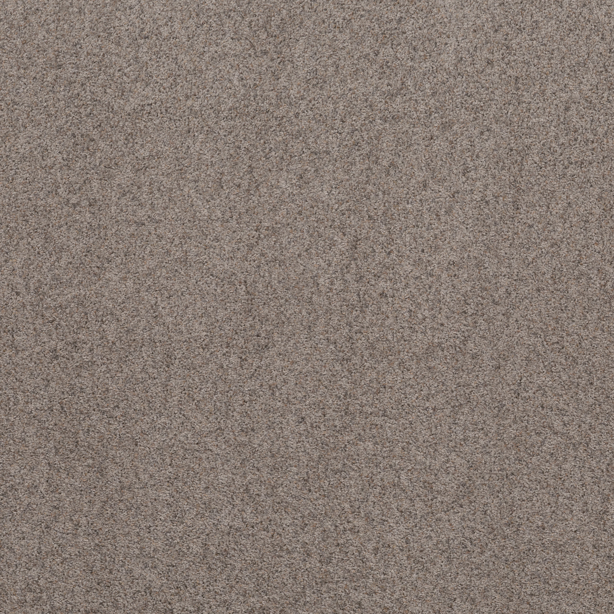 Daily Commute-Pewter Taupe-PZ099_00501