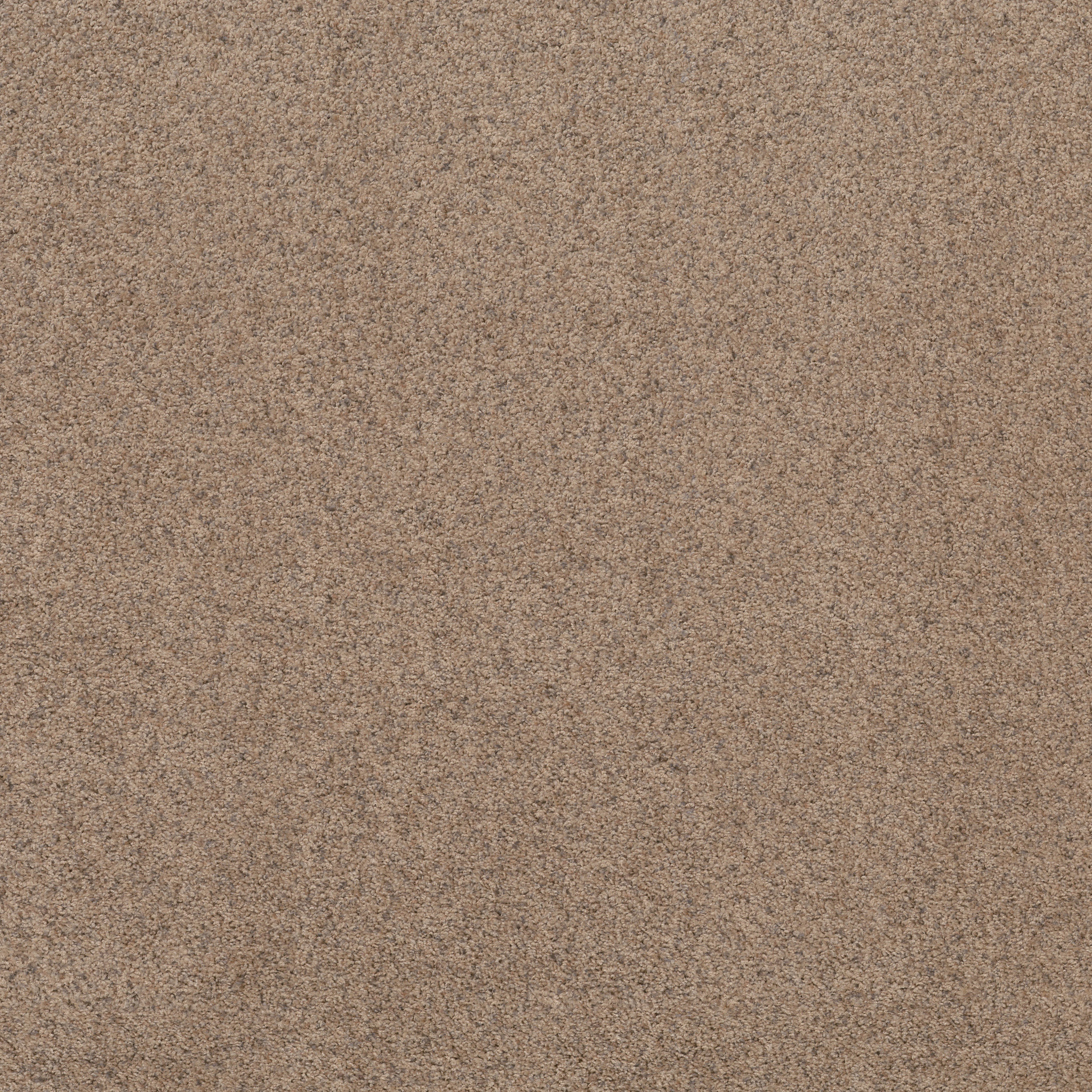 Daily Commute-Pebble-PZ099_00700