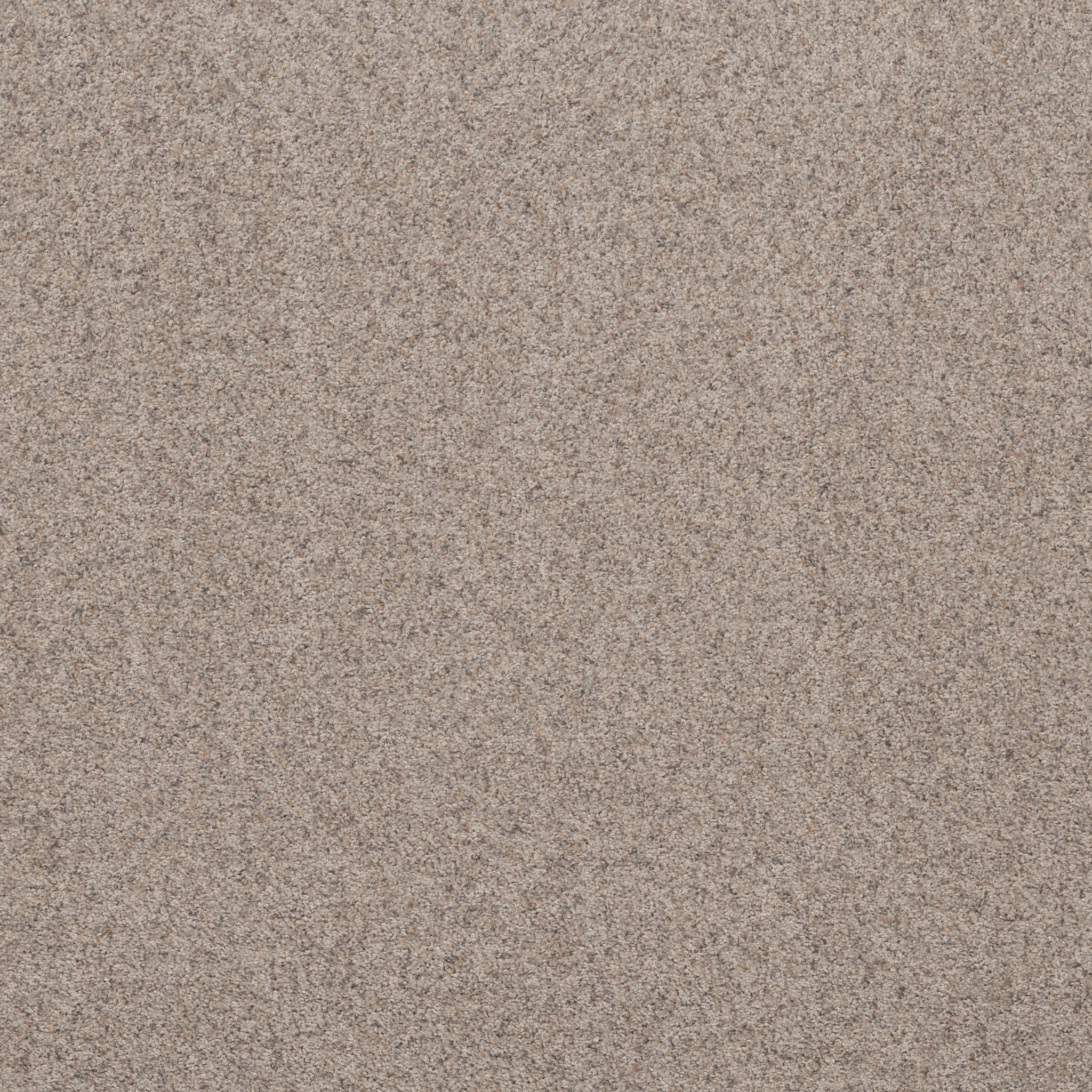 Daily Commute-Latte-PZ099_00703