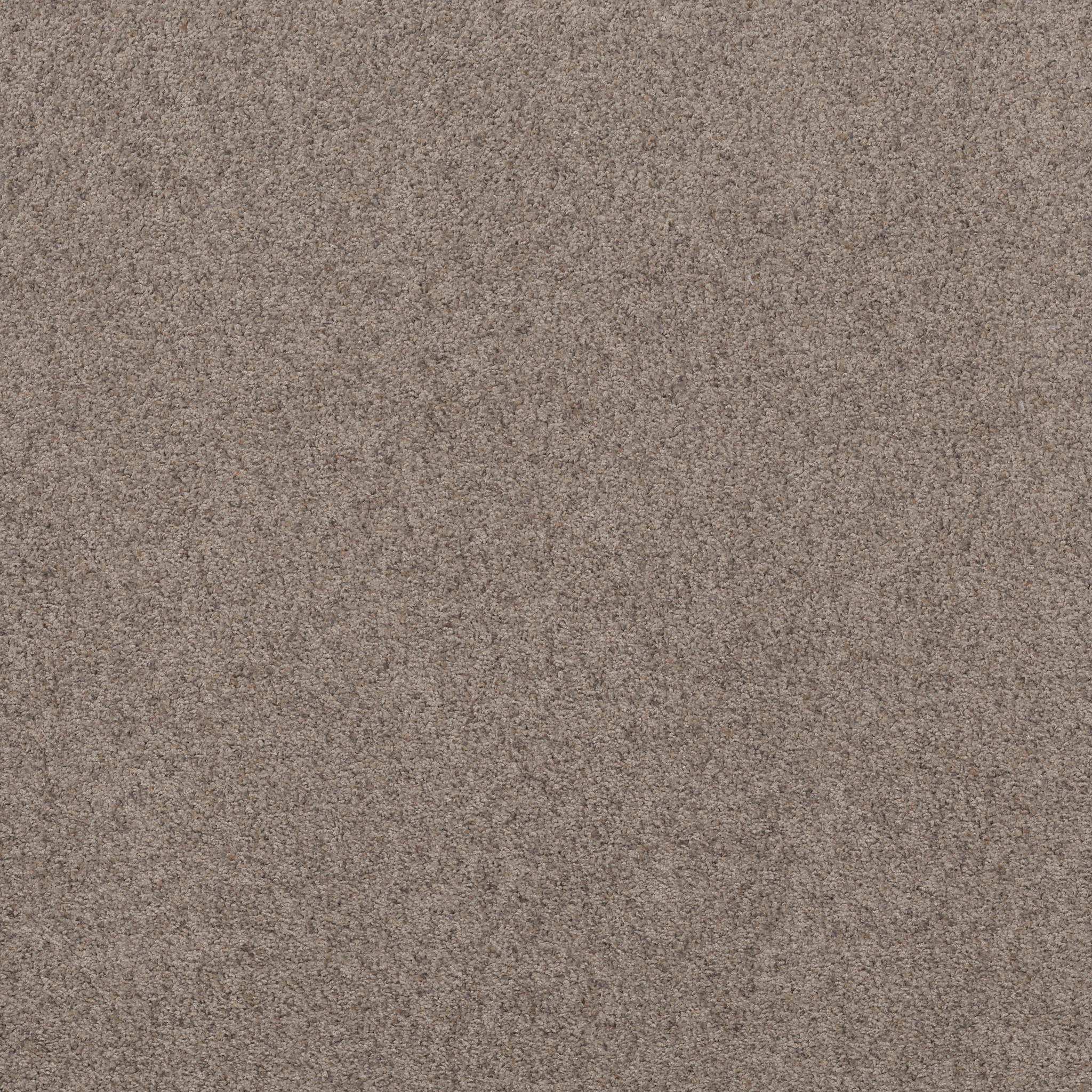 Daily Commute-Frosted Mocha-PZ099_00704