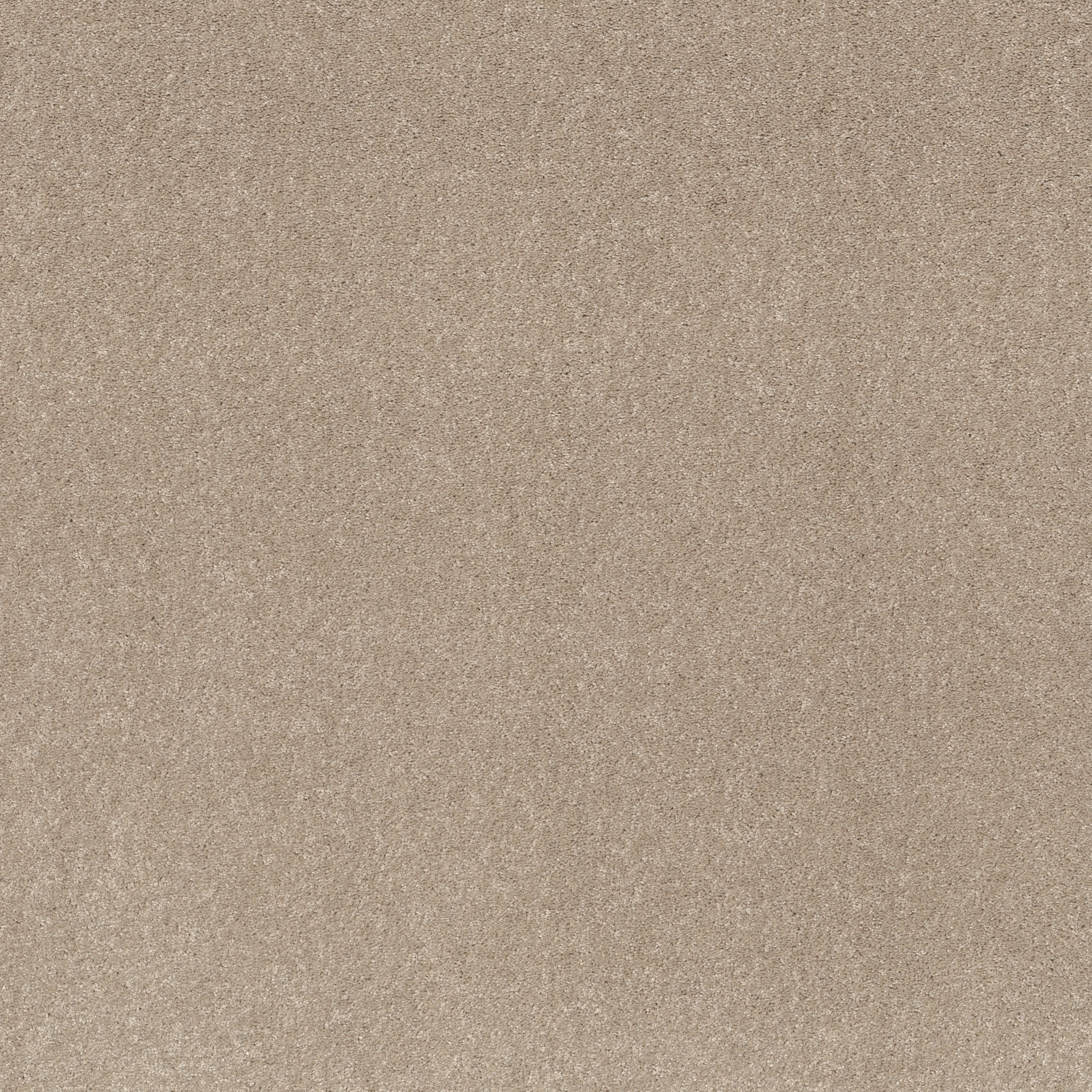 Prime Appeal-Tassel-PZ110_00107