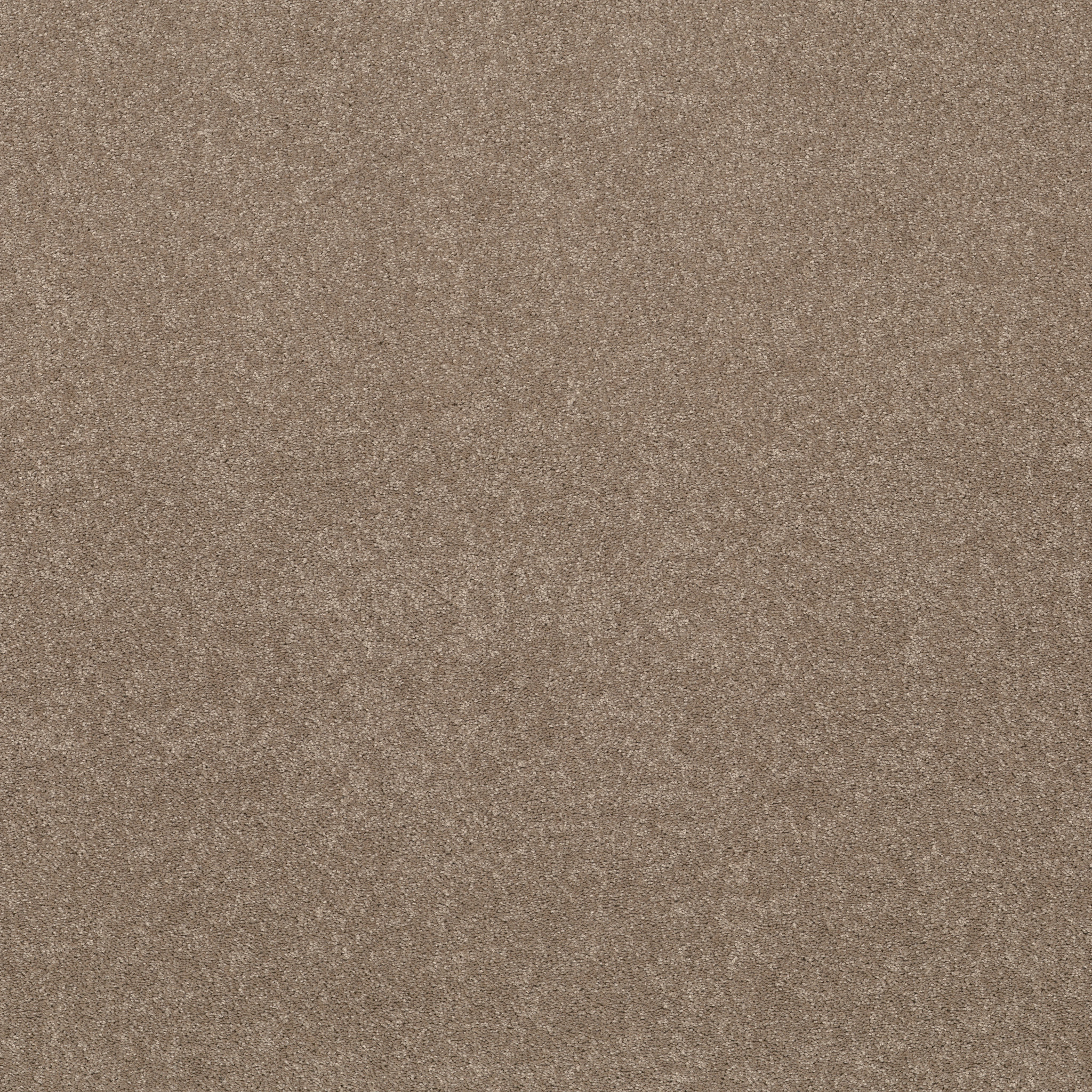 Prime Appeal-Warm Wood-PZ110_00201