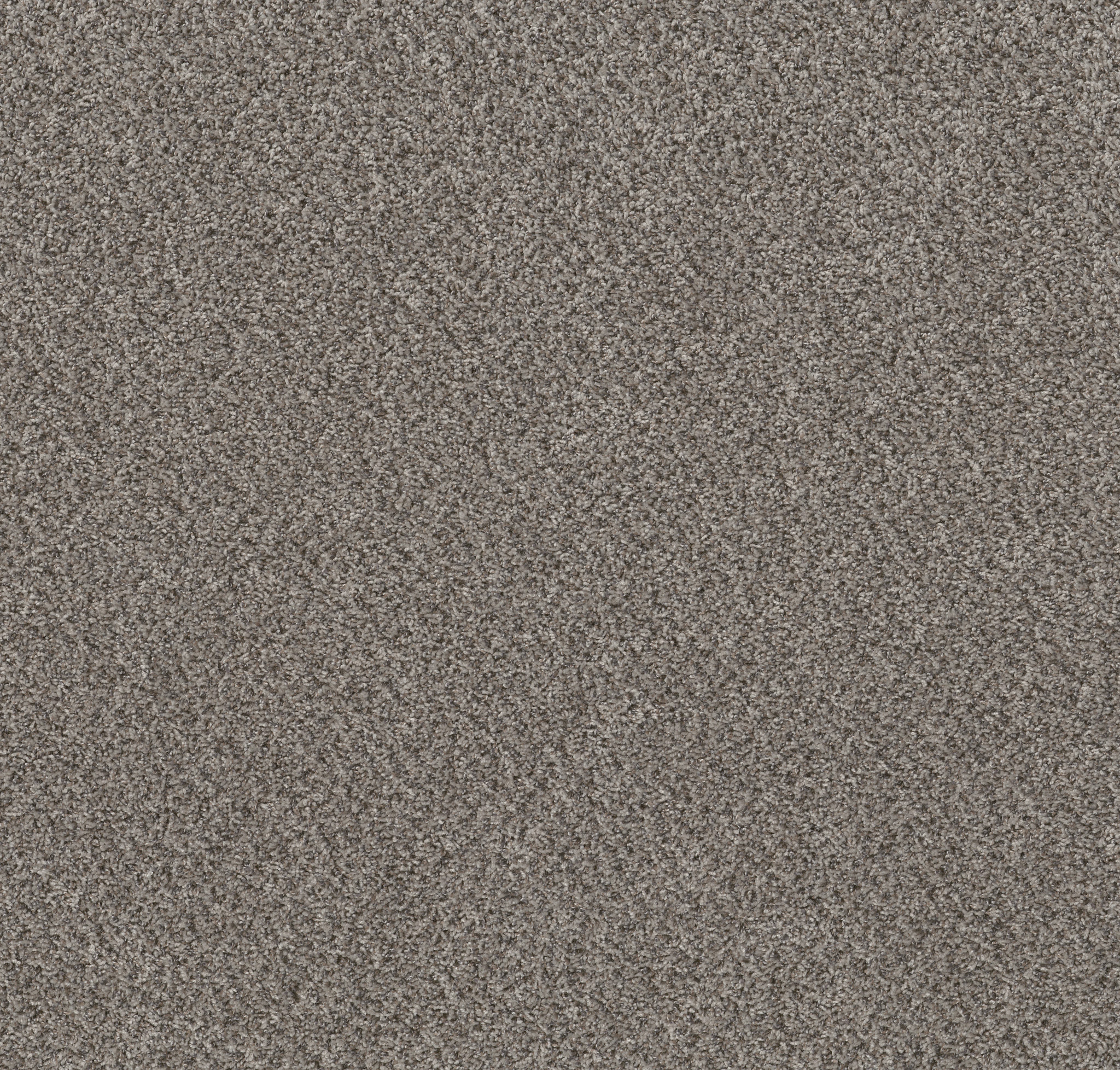 Neighborly (A) - Metro Gray - PZ112_00506