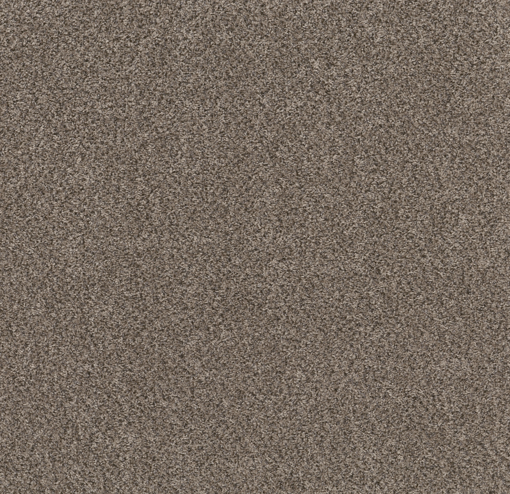 Neighborly (A)-Casual Khaki-PZ112_00720