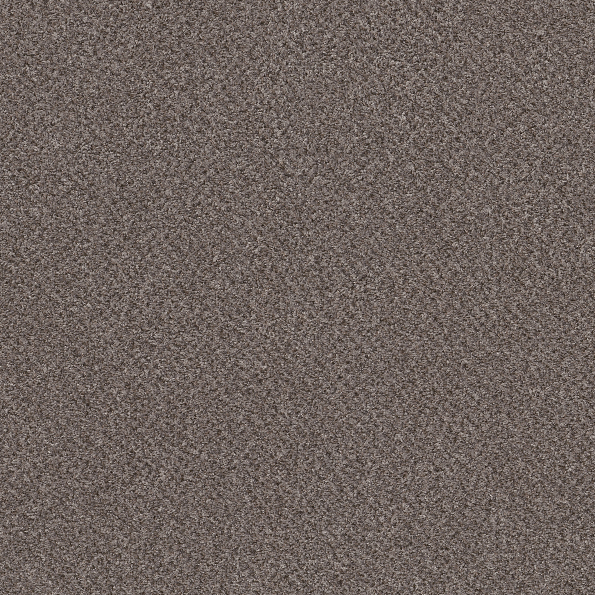 Neighborly (A)-Anthracite-PZ112_00721