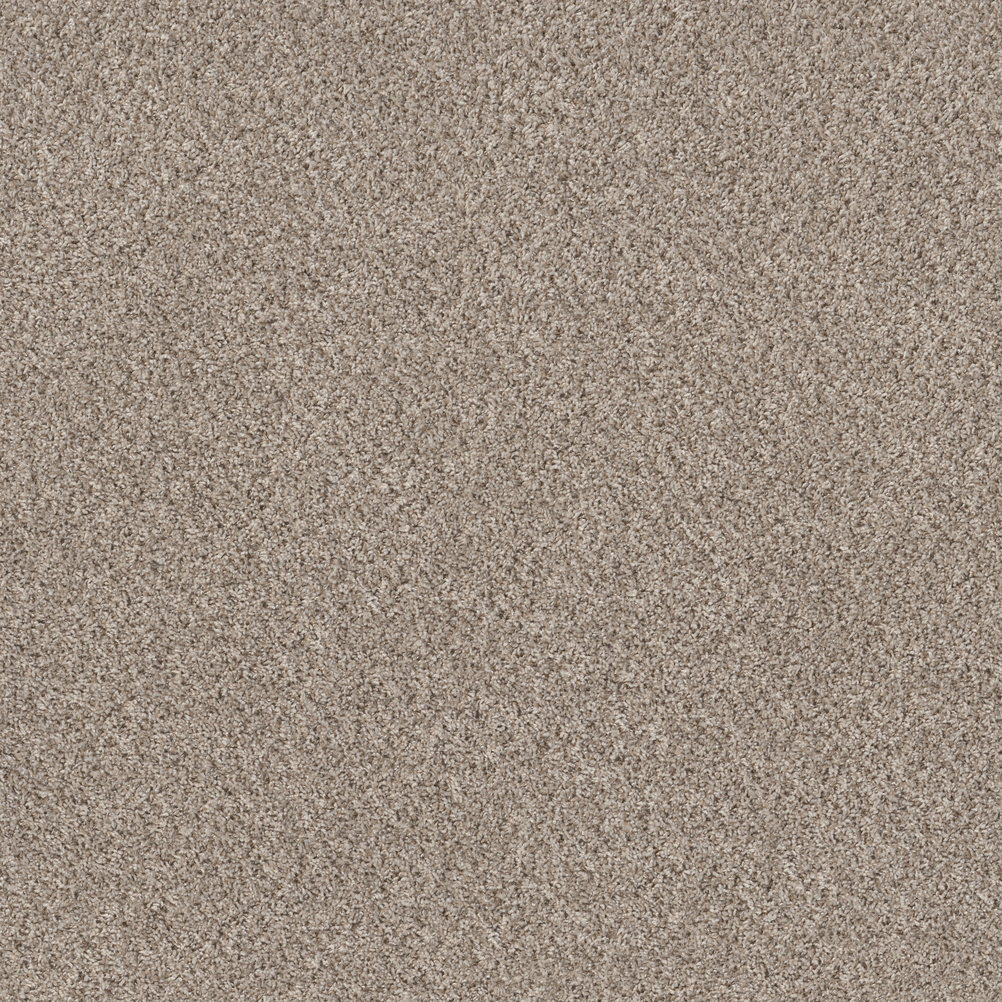 Neighborly(T) - Sandstone - PZ113_00100