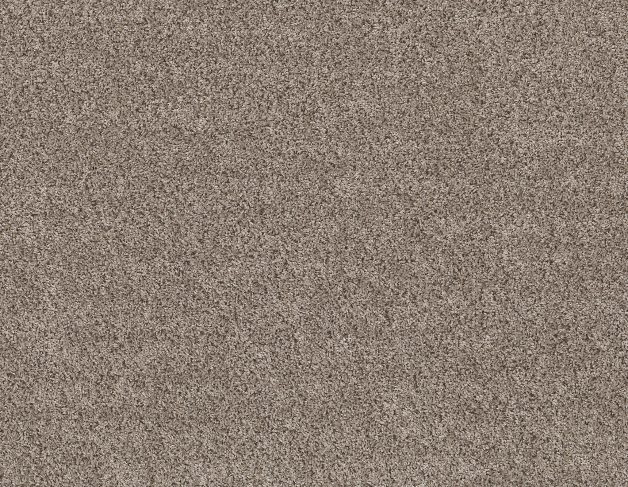 Neighborly(T)-Baltic Stone-PZ113_00102