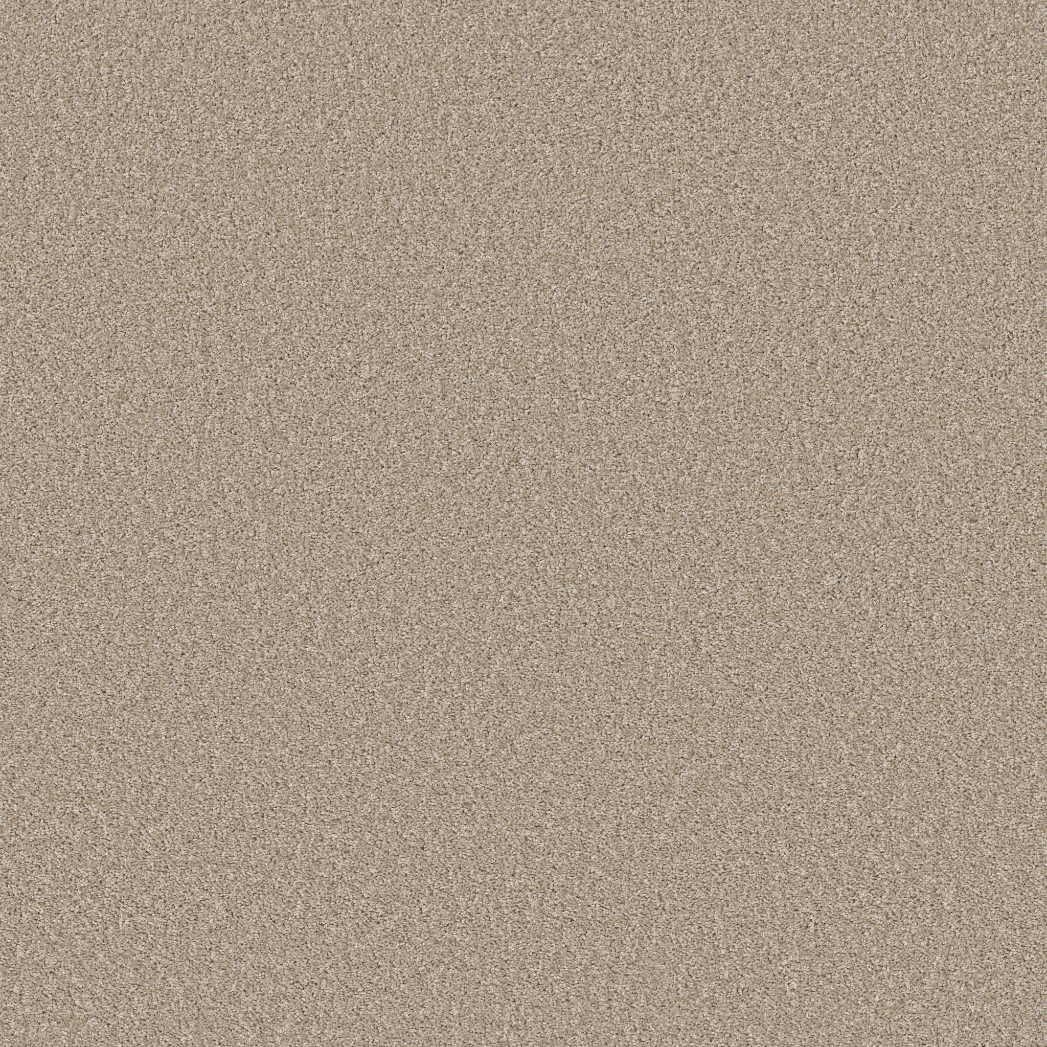 Panoramic-Sunlit Ivory-PZ128_00104