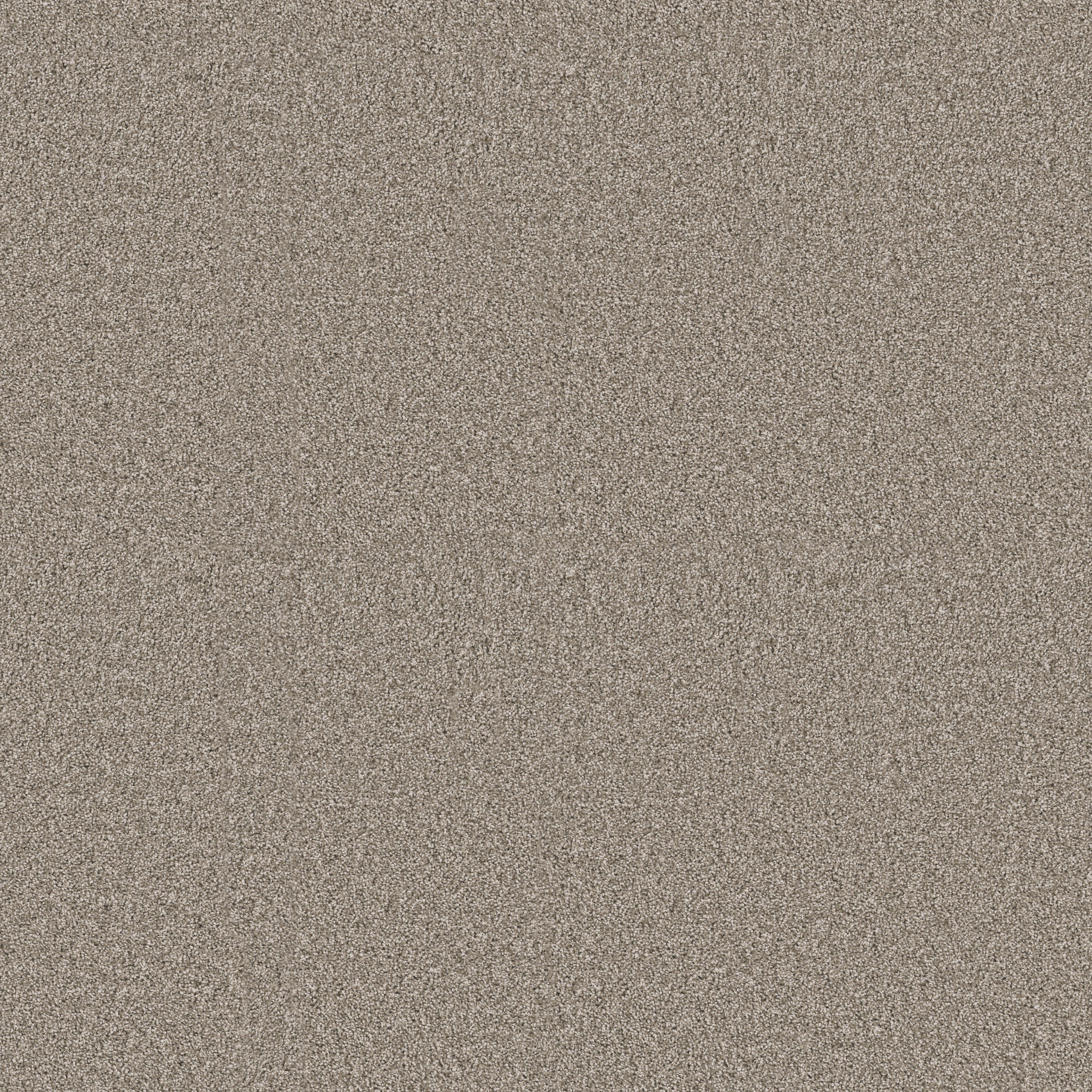 Panoramic-Dried Herb-PZ128_00105