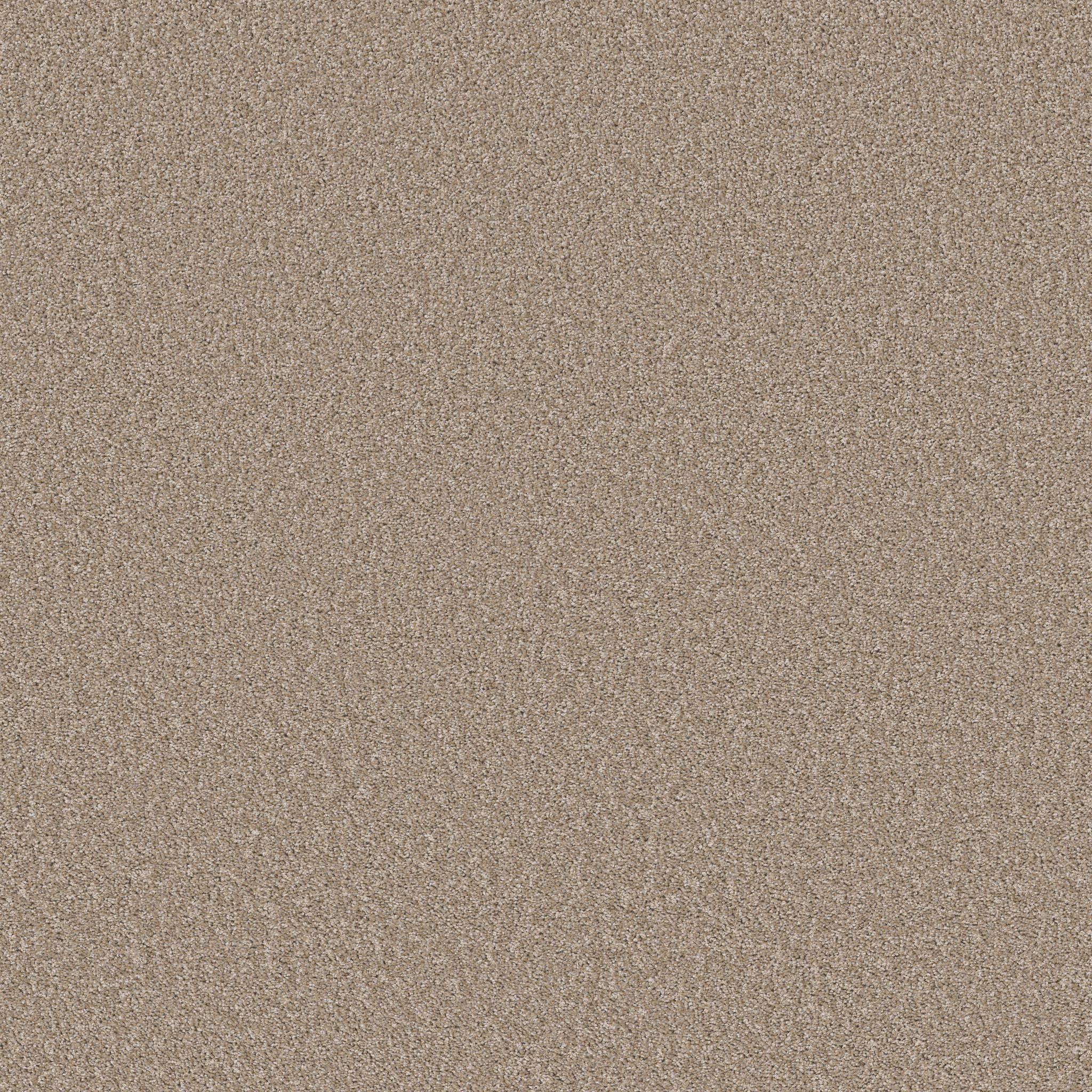 Panoramic-Blondy-PZ128_00106