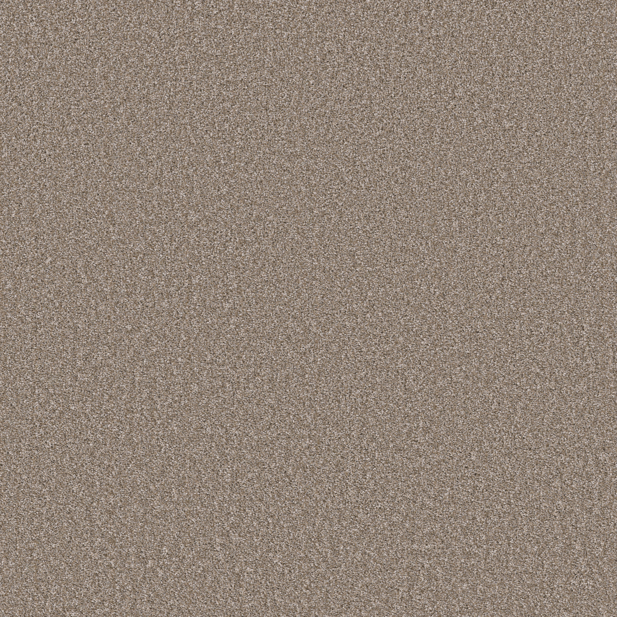 Panoramic-Sahara-PZ128_00700