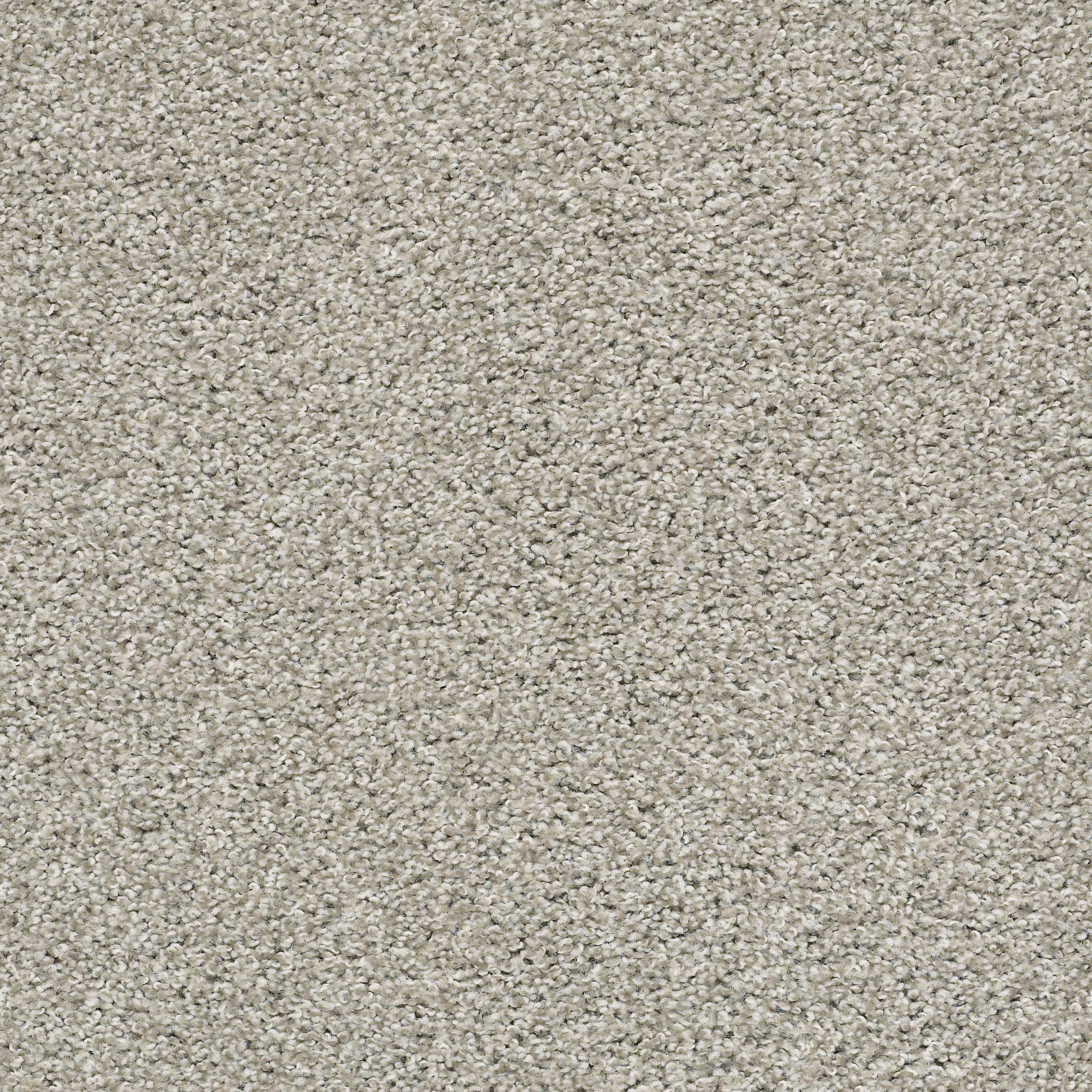 Prestigious I-Winter Birch-PZ136_00510