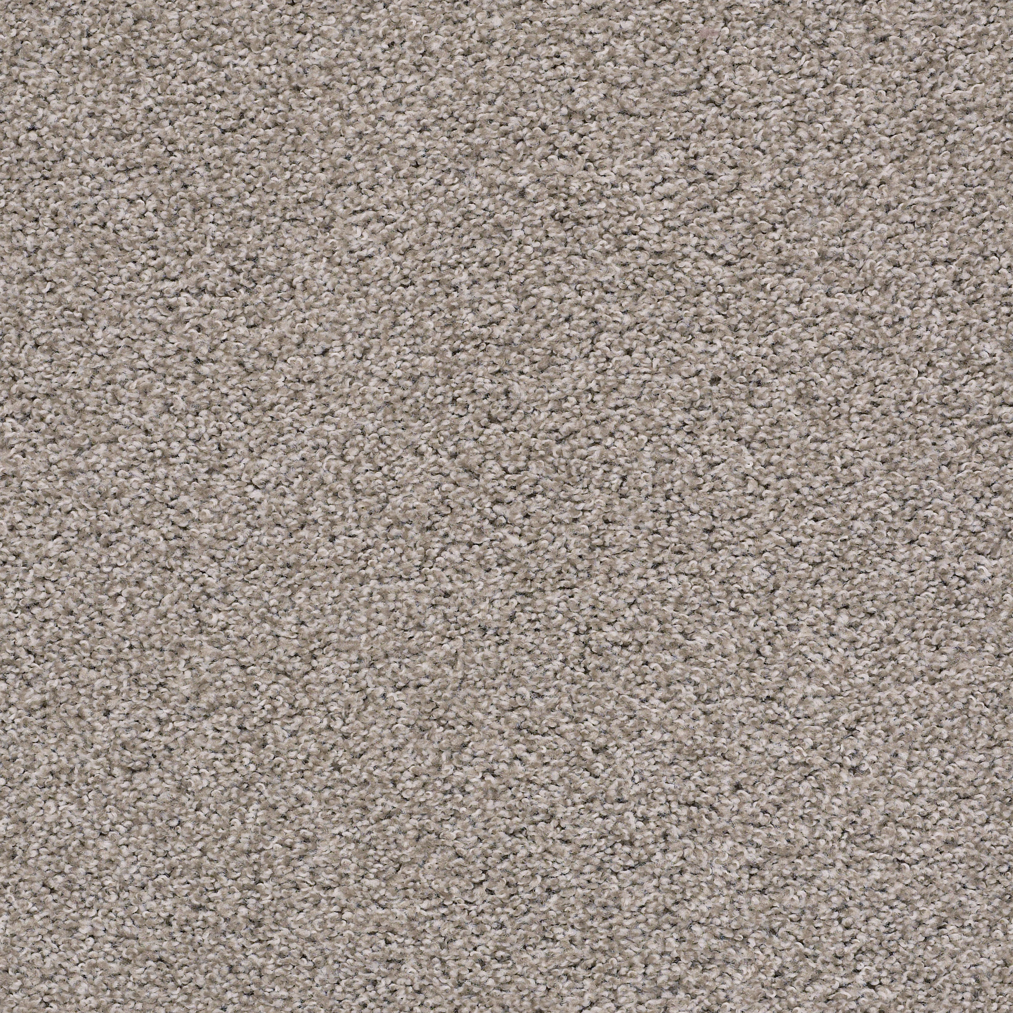 Prestigious II-Winter Birch