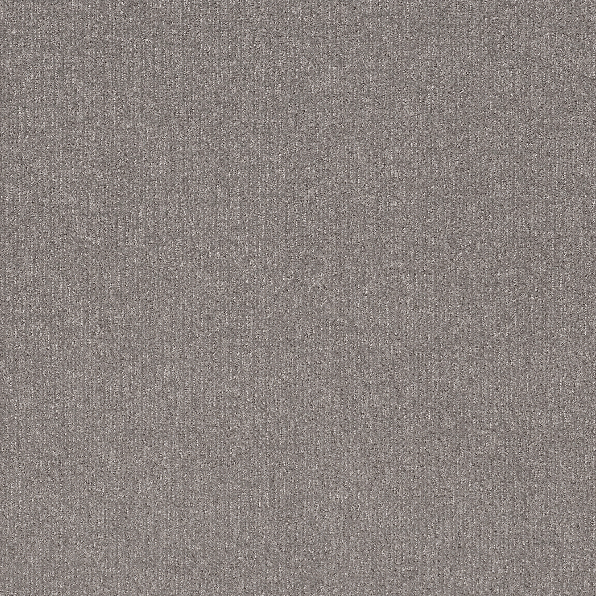 Inviting-River Birch-PZ141_00106