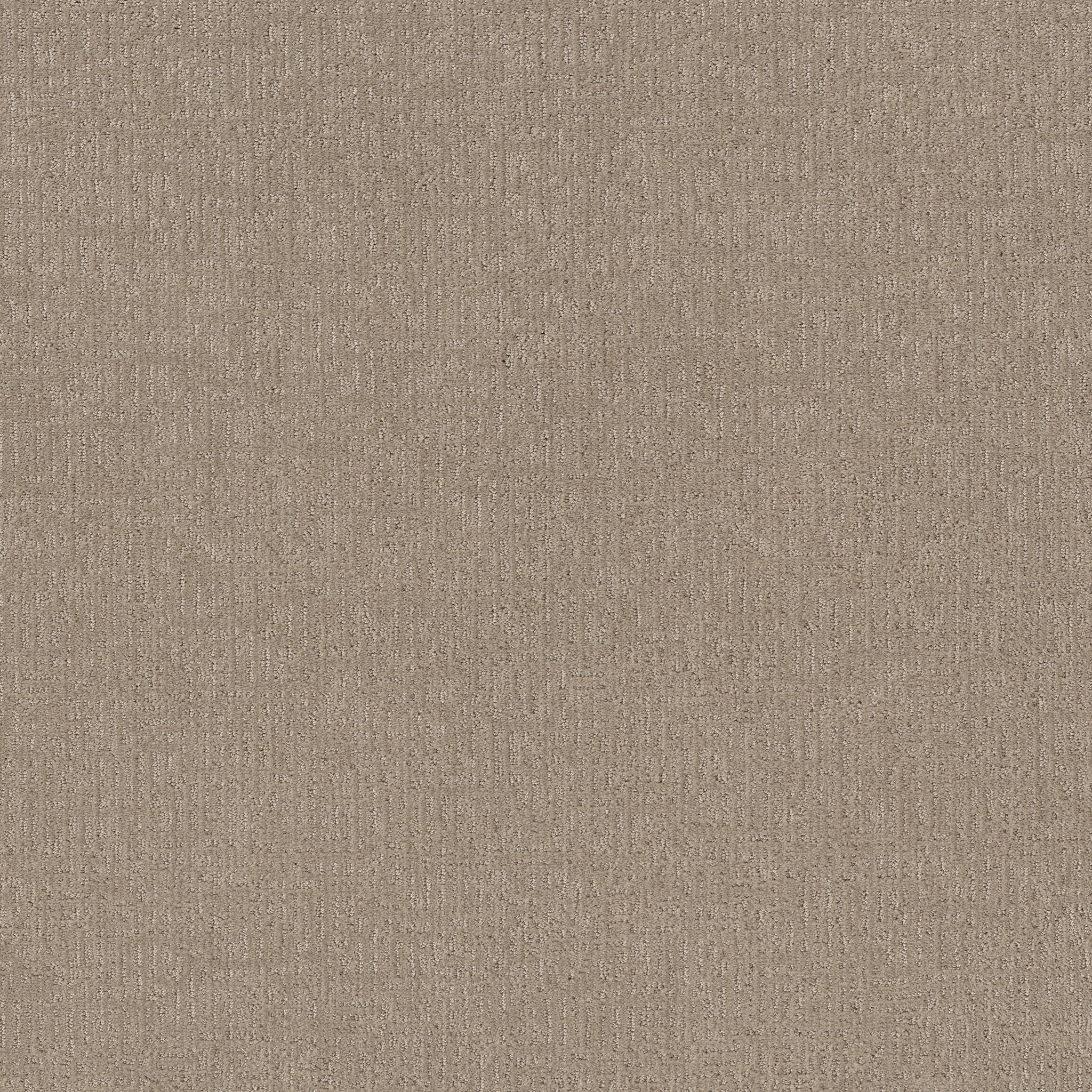 Inviting-Cameo-PZ141_00113