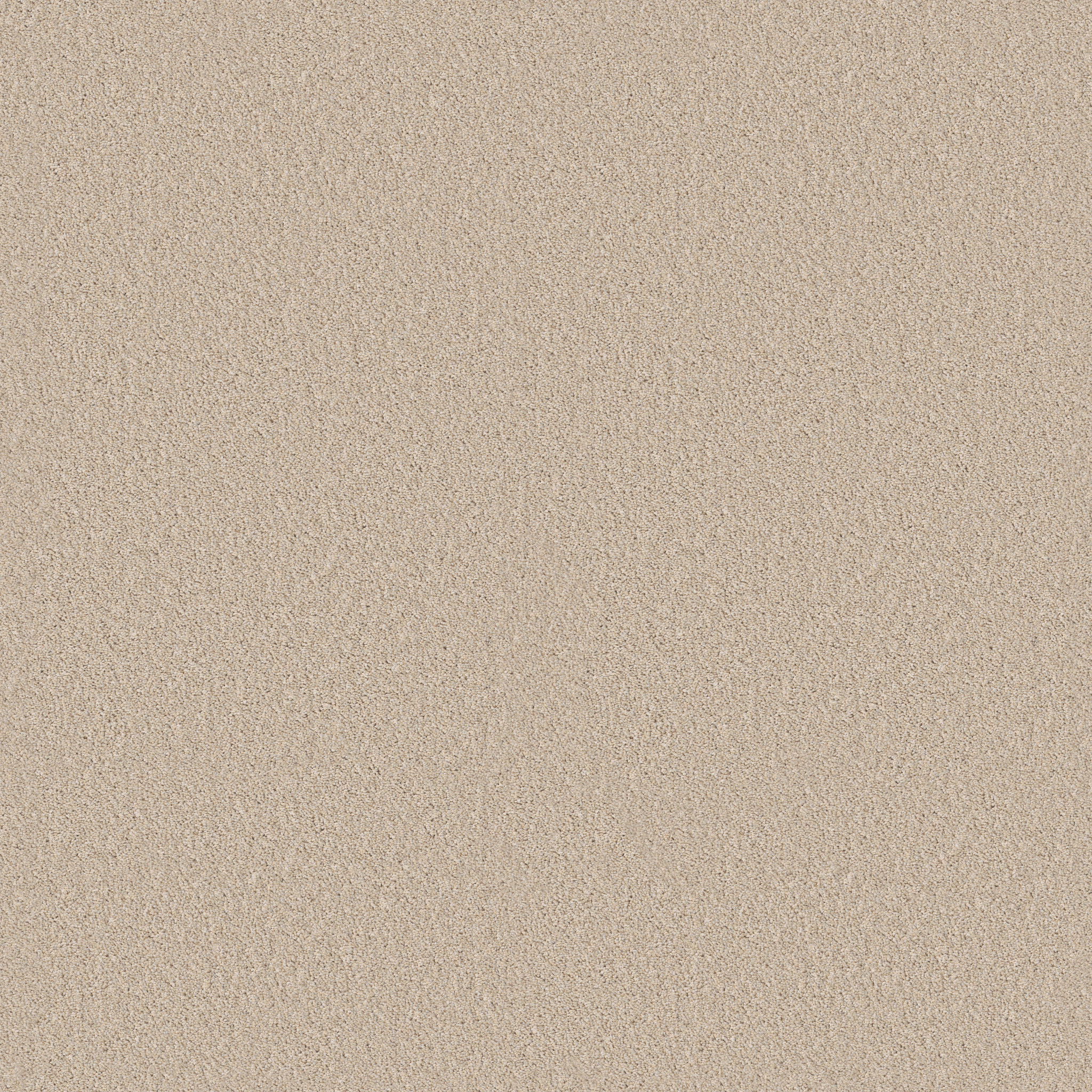 Principled Tonal - Dune View - PZ144_00120