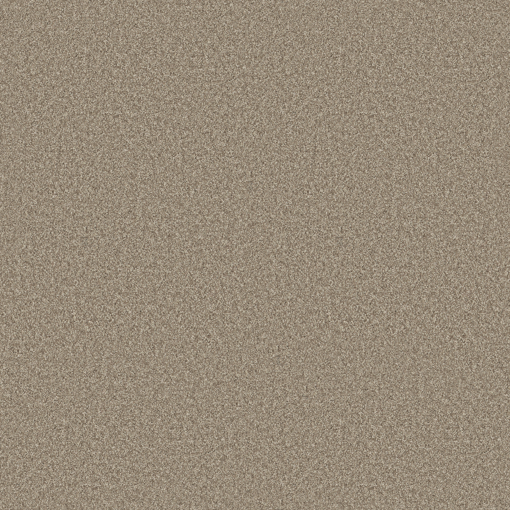 Principled Tonal-Stonecrest-PZ144_00123