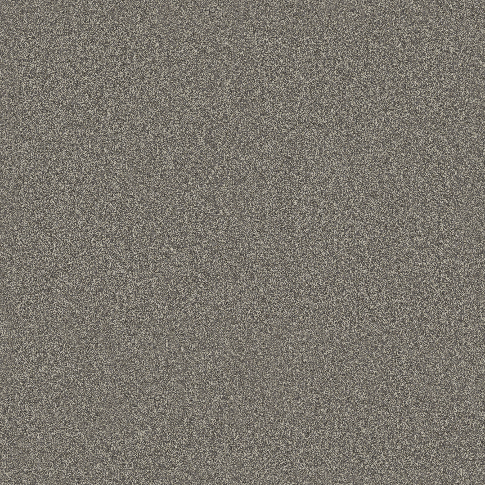 Principled Tonal-Shadows-PZ144_00524