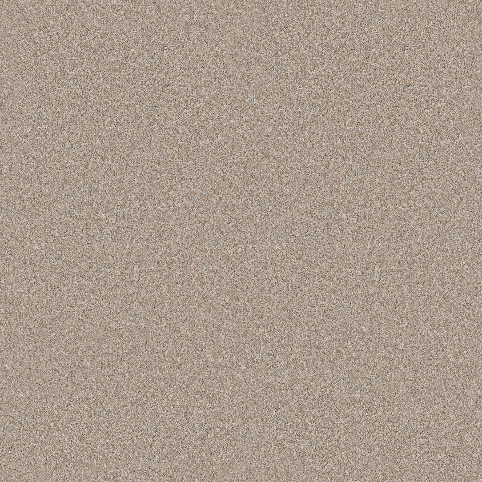 Principled Tonal-Baja-PZ144_00720