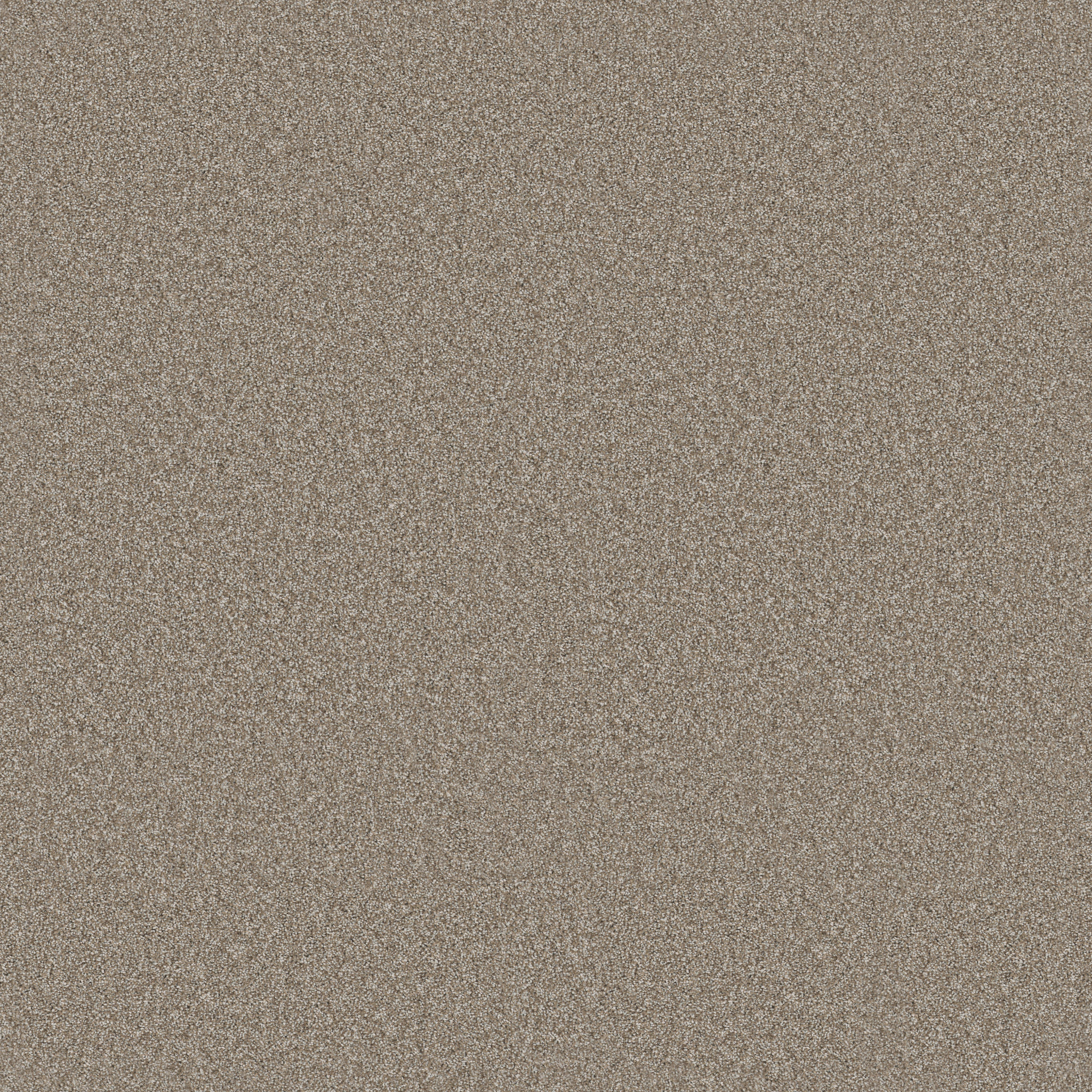 Principled Tonal-Mocha-PZ144_00721