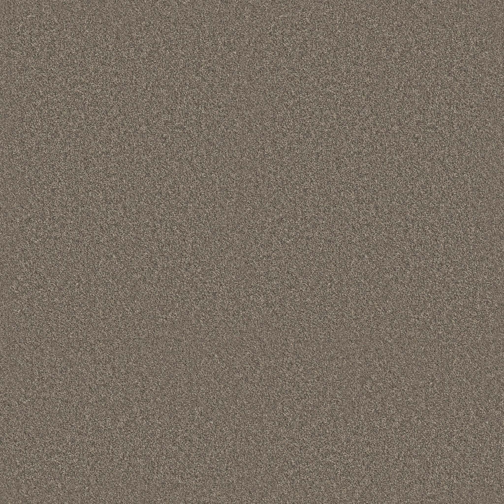 Principled Tonal-Hideaway-PZ144_00722