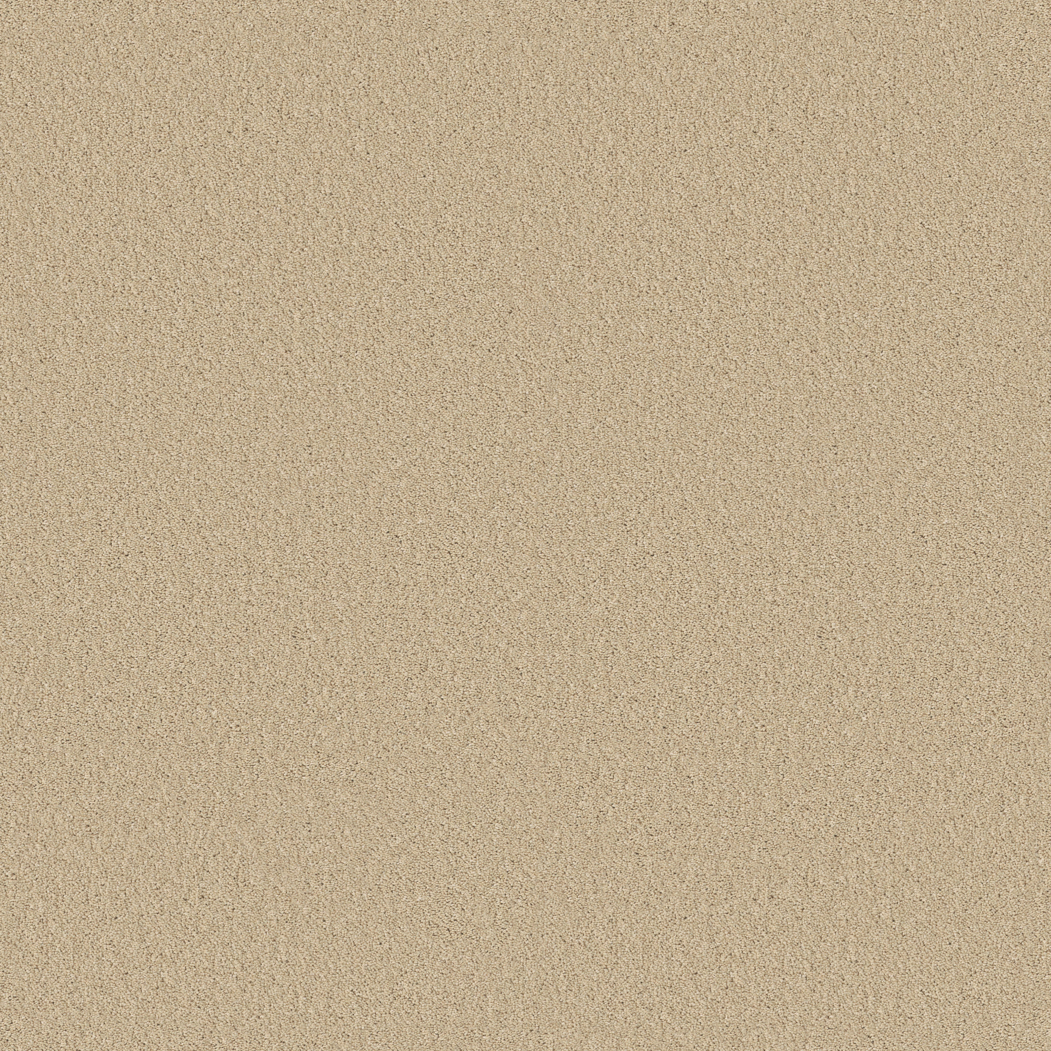 Principled Solid-Hourglass-PZ145_00102