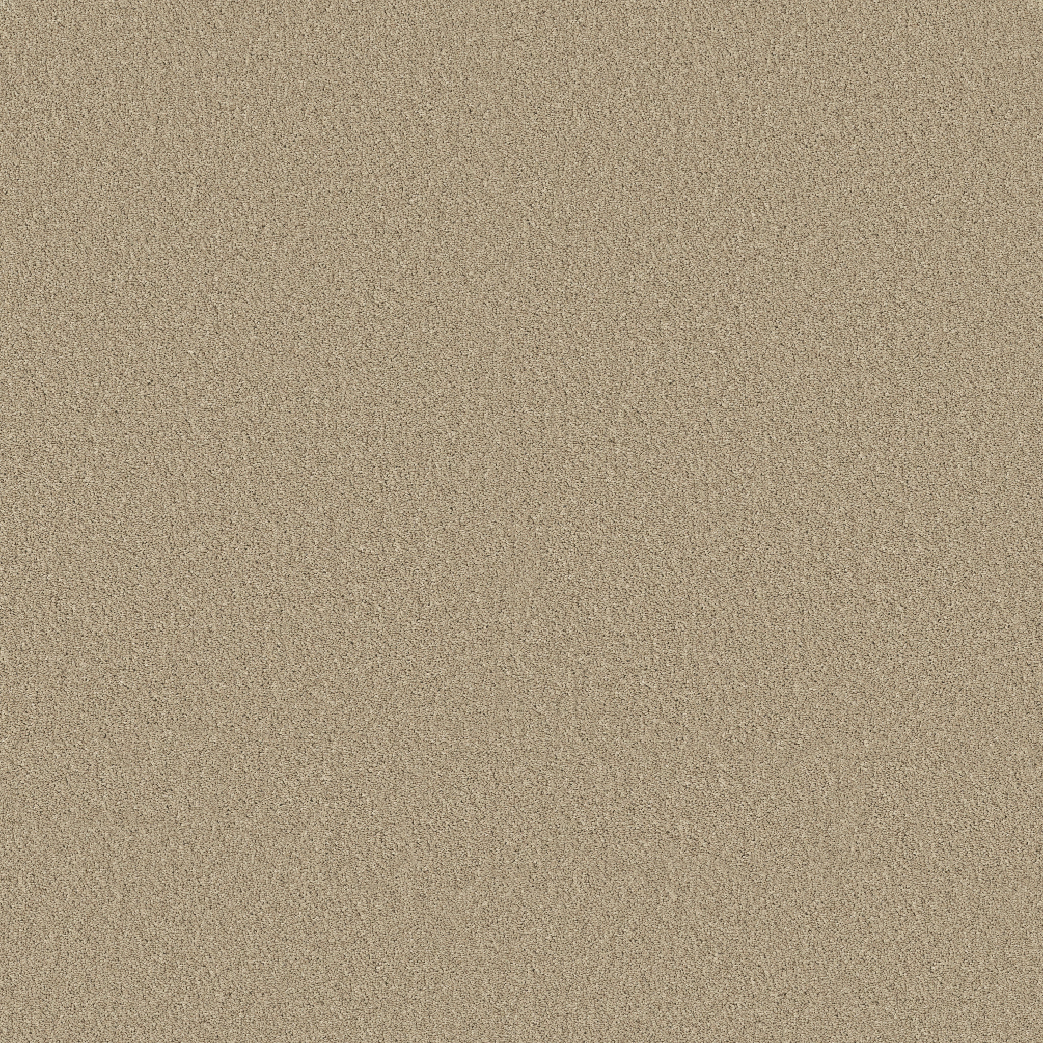 Principled Solid-Loft-PZ145_00103