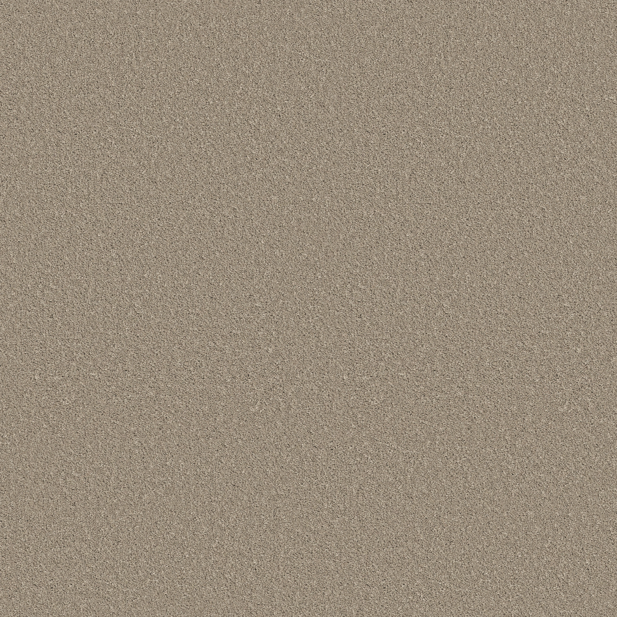 Principled Solid-On The Edge-PZ145_00104