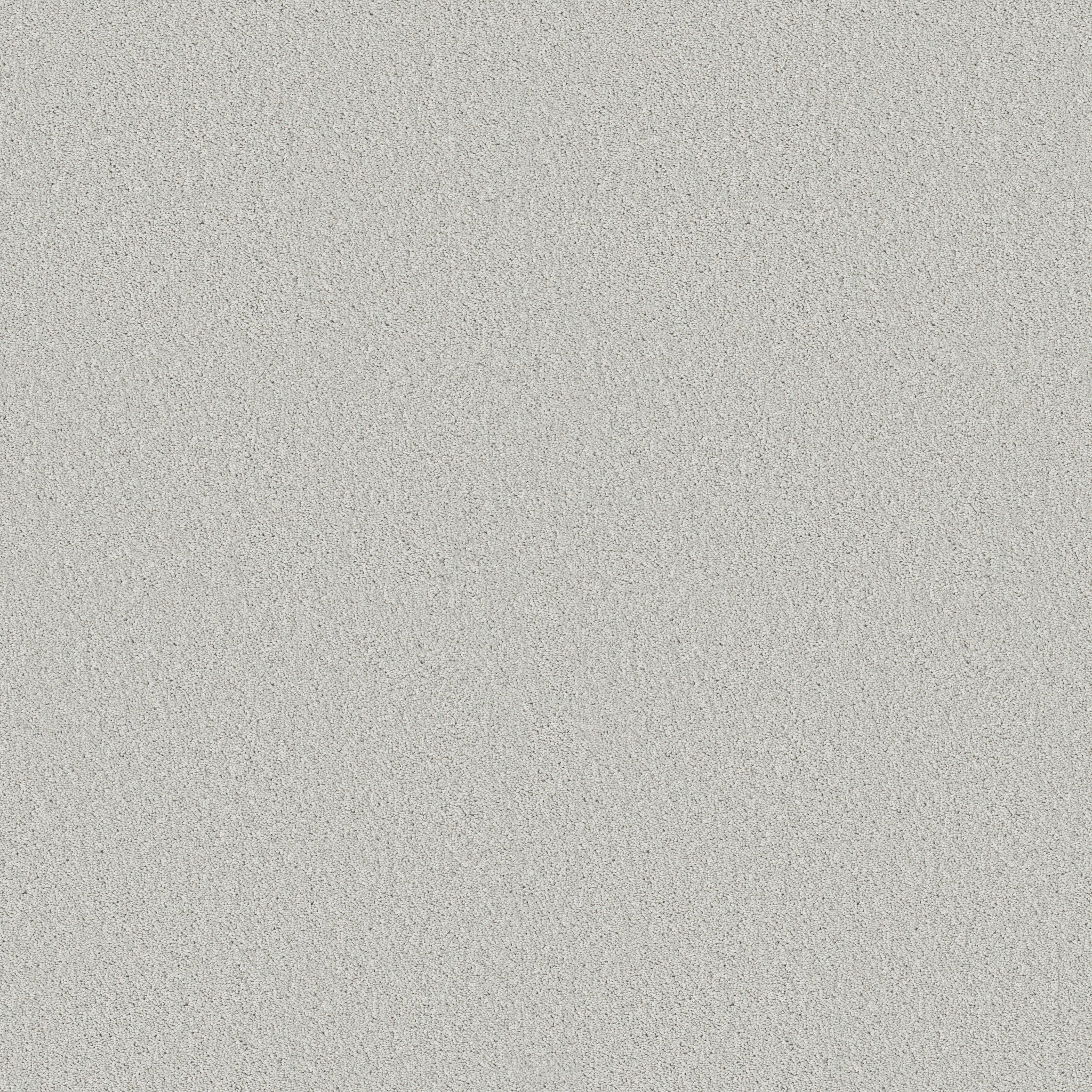 Principled Solid-Light Year-PZ145_00500