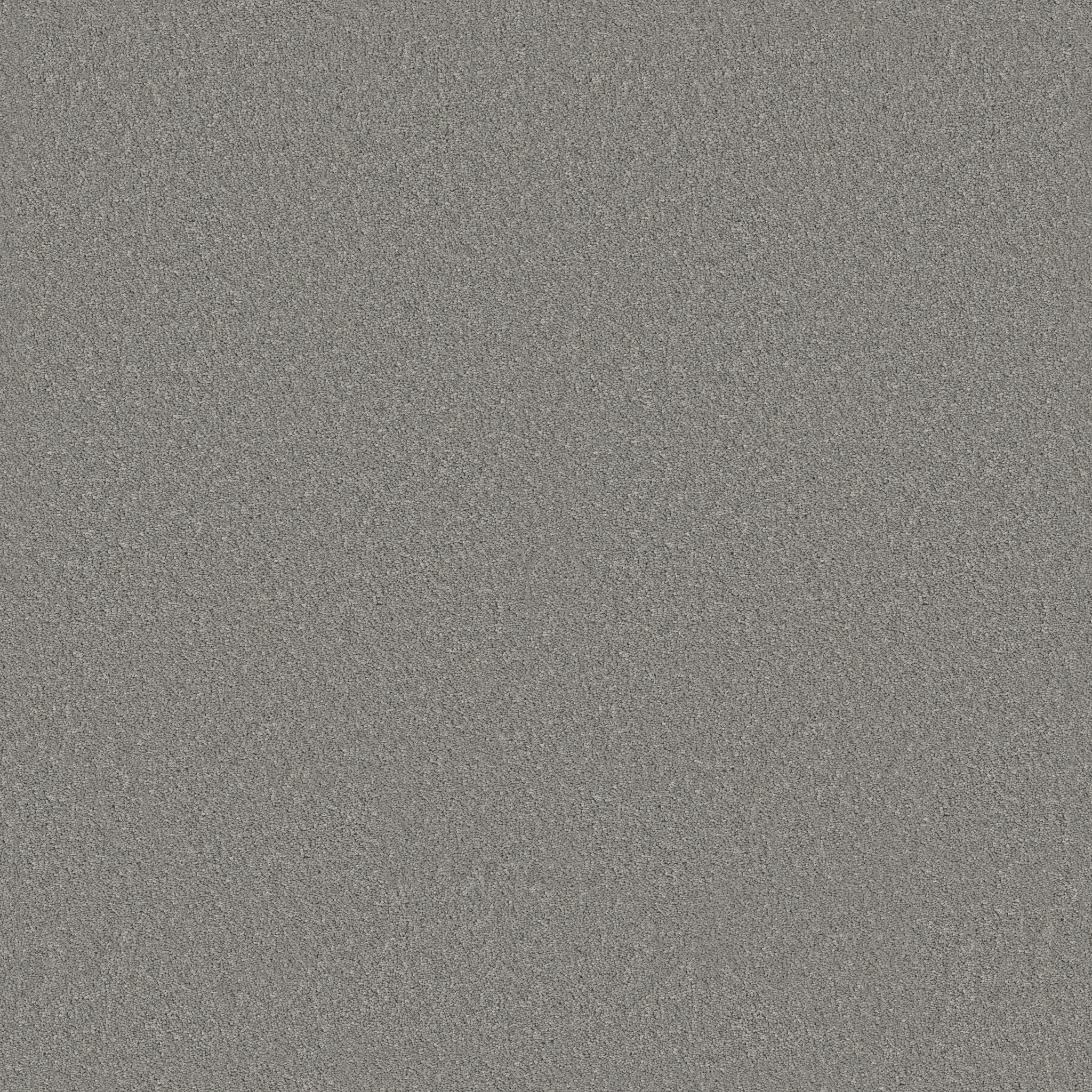 Principled Solid-Winter-PZ145_00502