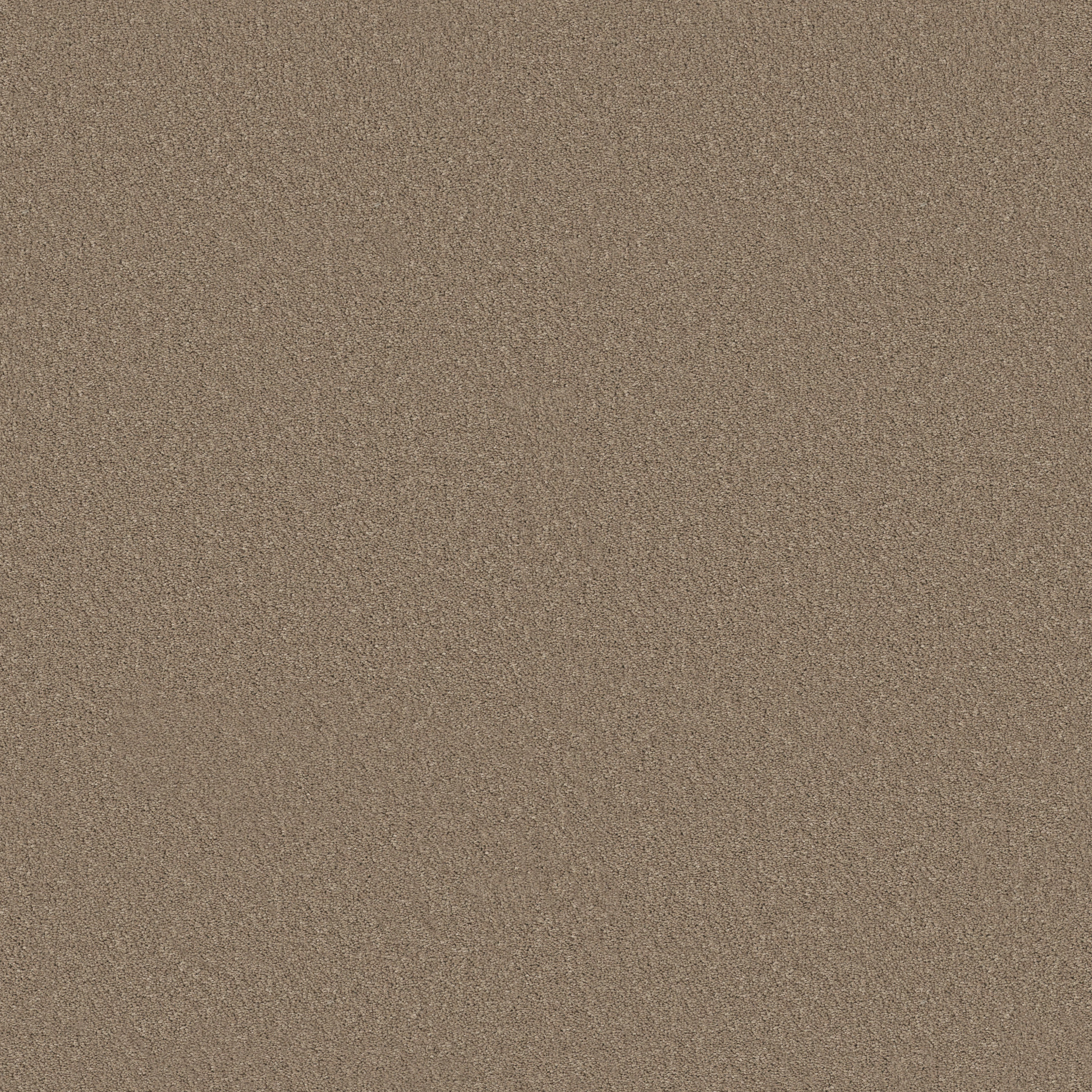 Principled Solid-Sierra-PZ145_00700