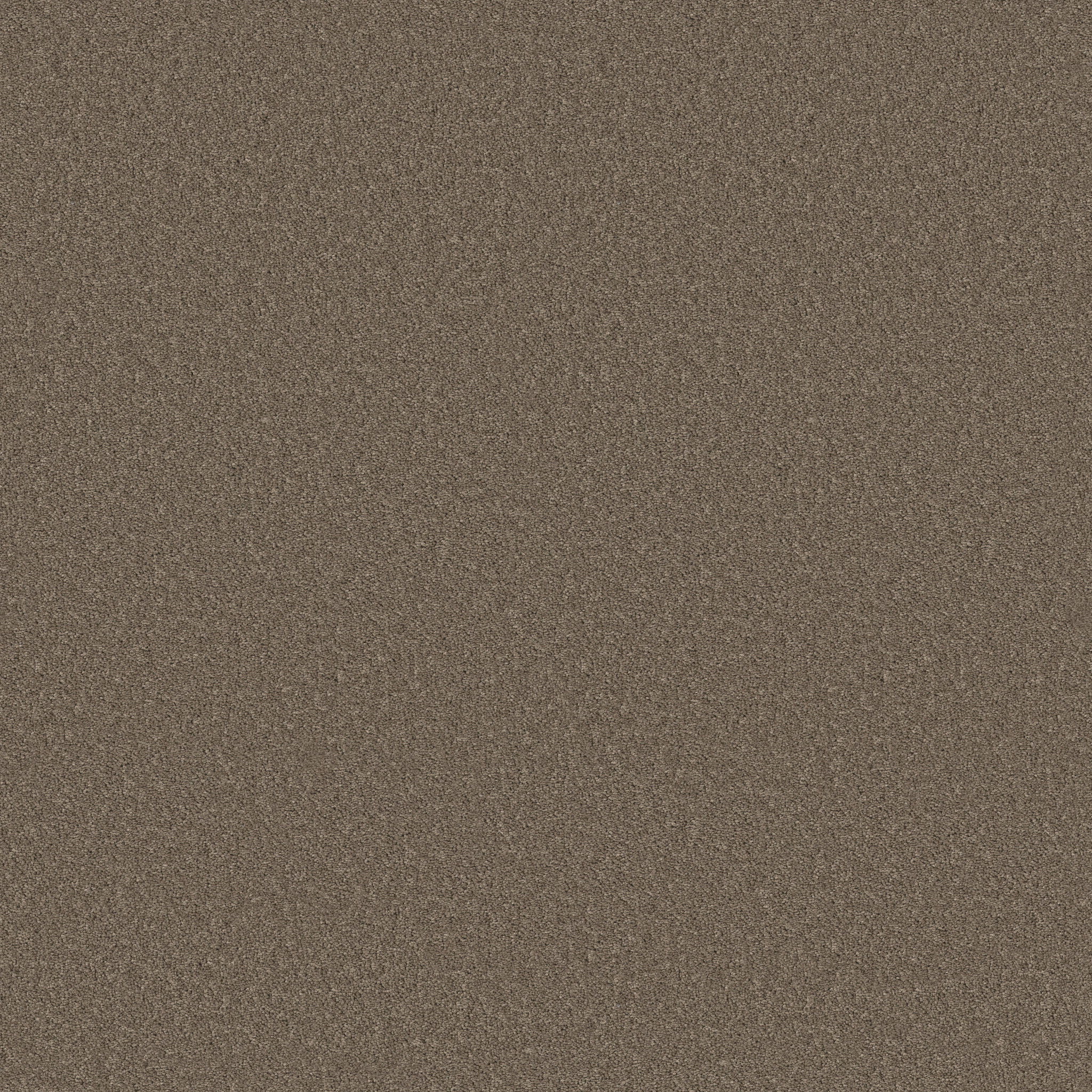 Principled Solid-Landmark-PZ145_00701