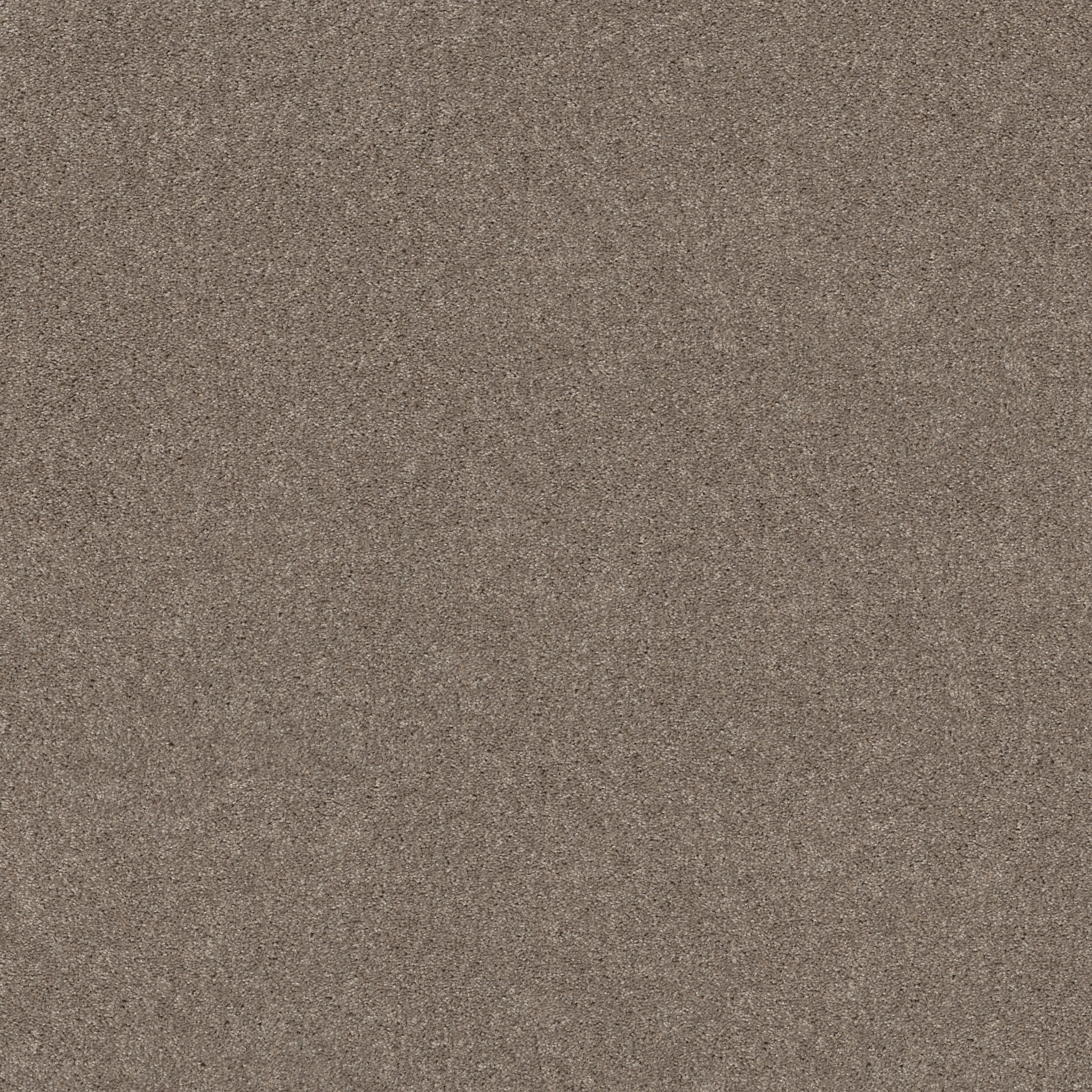 Fearless Tonal - Quiet Tan - PZ152_00112